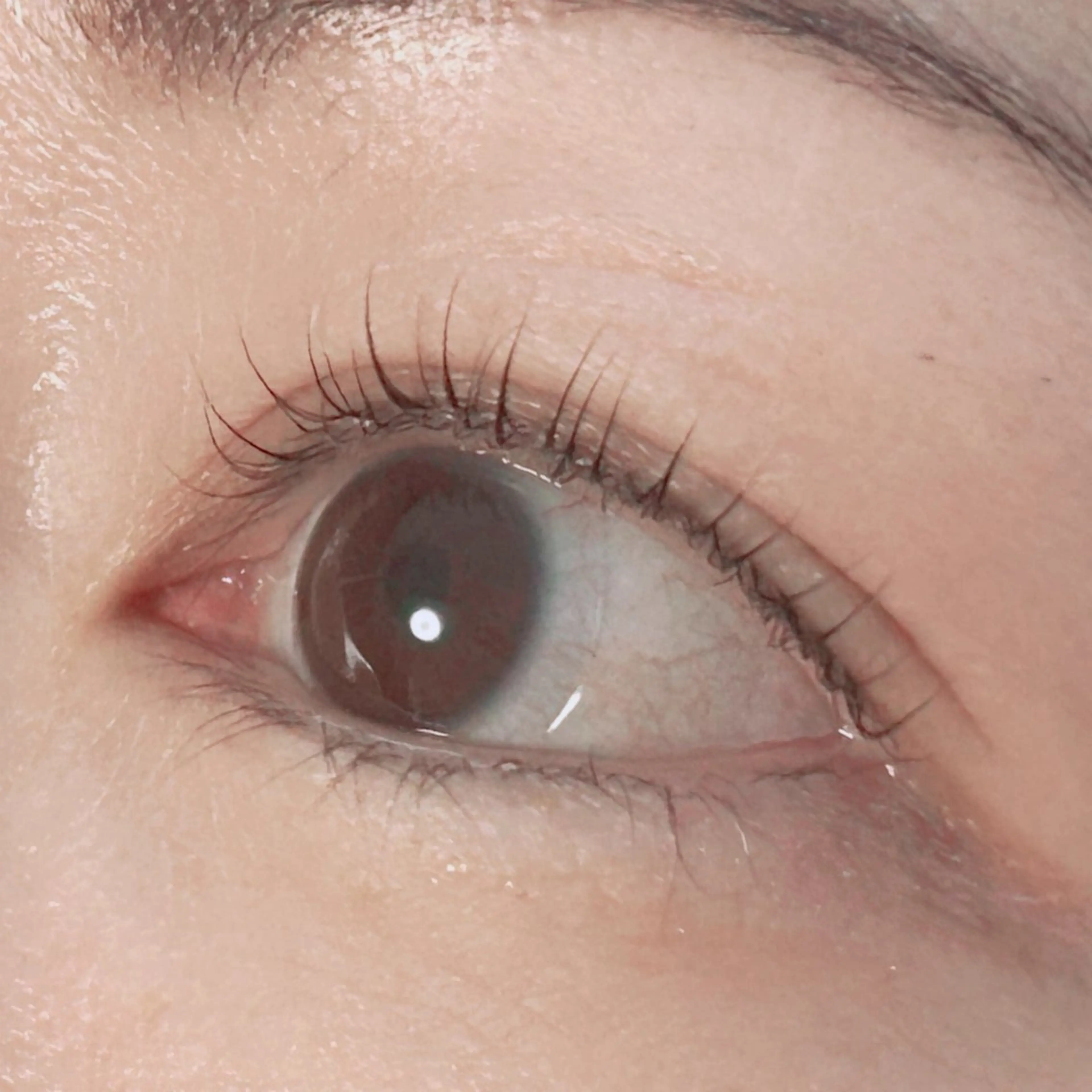 マツエク・マツパ annabelle 大野のマツエク・マツパデザイン