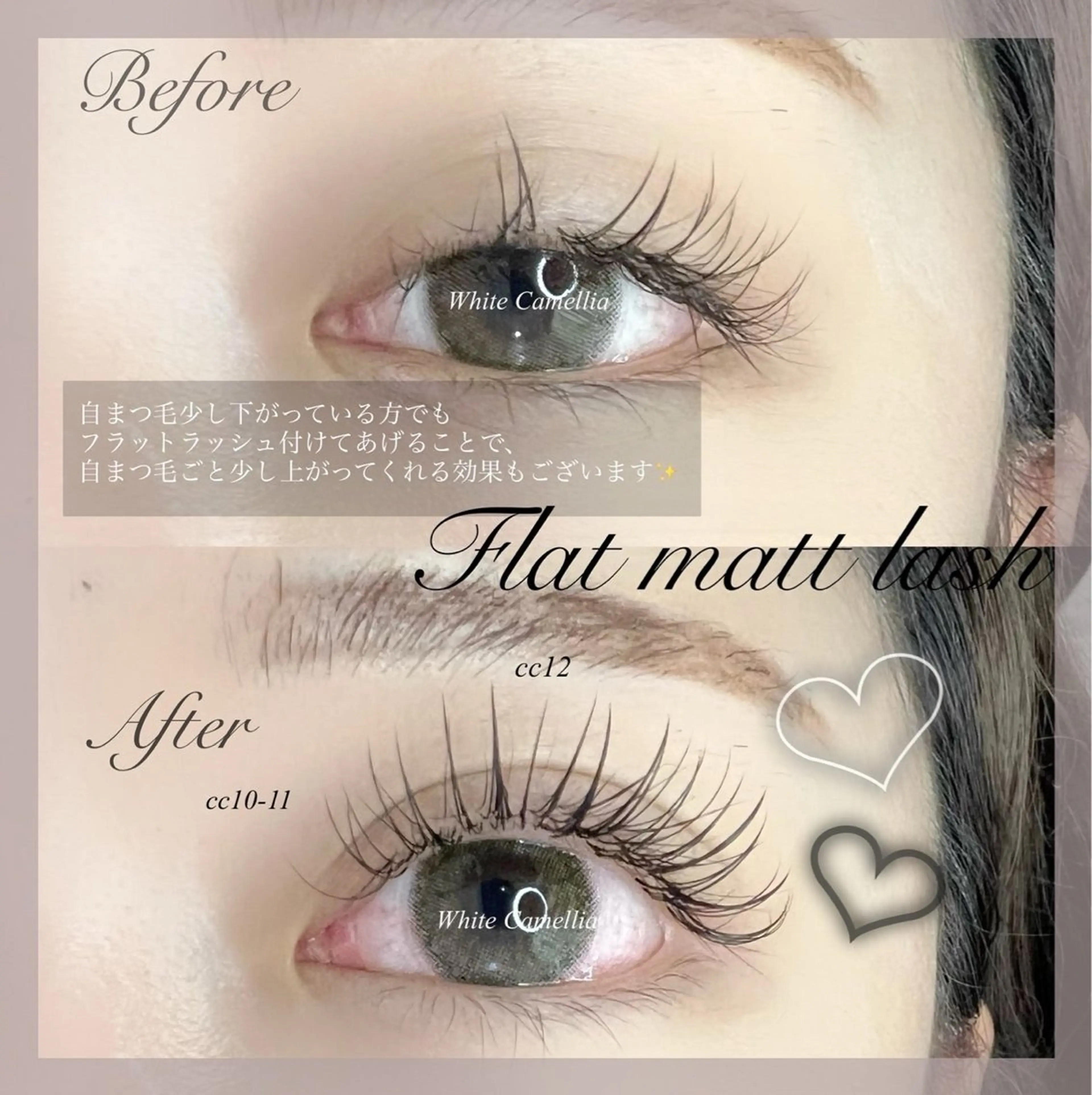 U24限定✨️マツエク100本モデル⚠️指導してもらいながらの施術になります！の写真