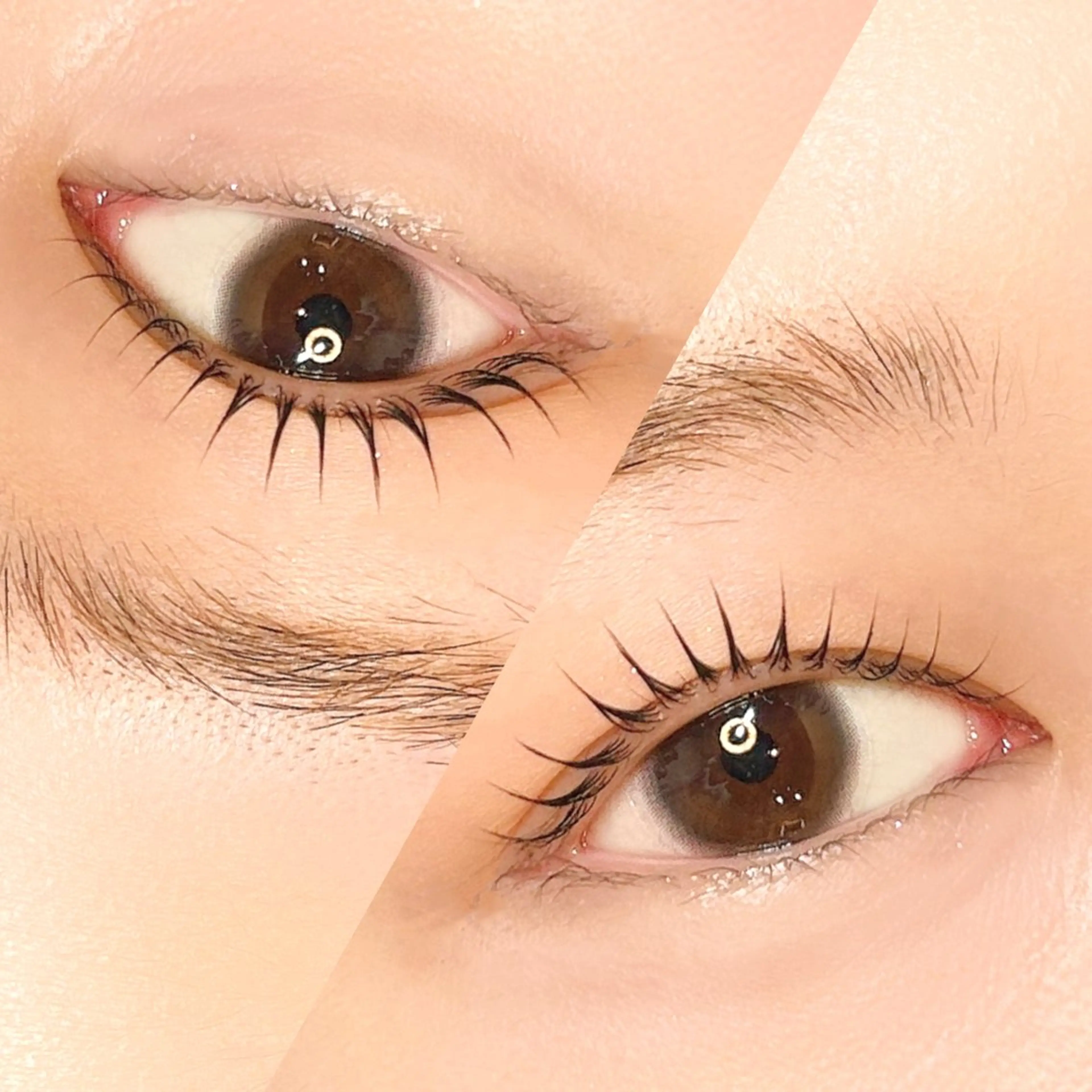 マツエク・マツパ GO TODAY SHAiRE SALON表参道Luce店所属・Mia 🕯️🤍のマツエク・マツパデザイン