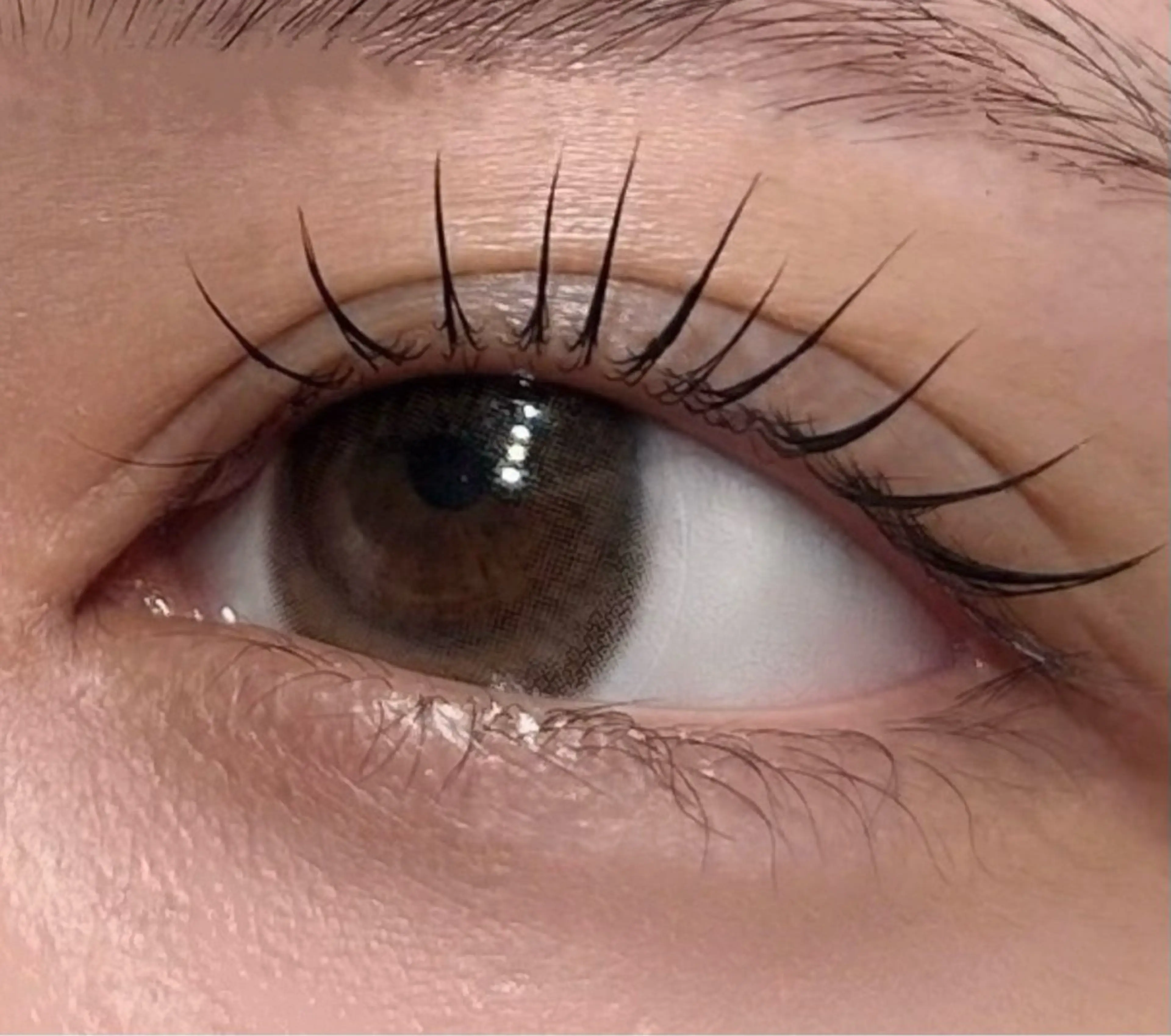 マツエク・マツパ Ridive Ayaのマツエク・マツパデザイン