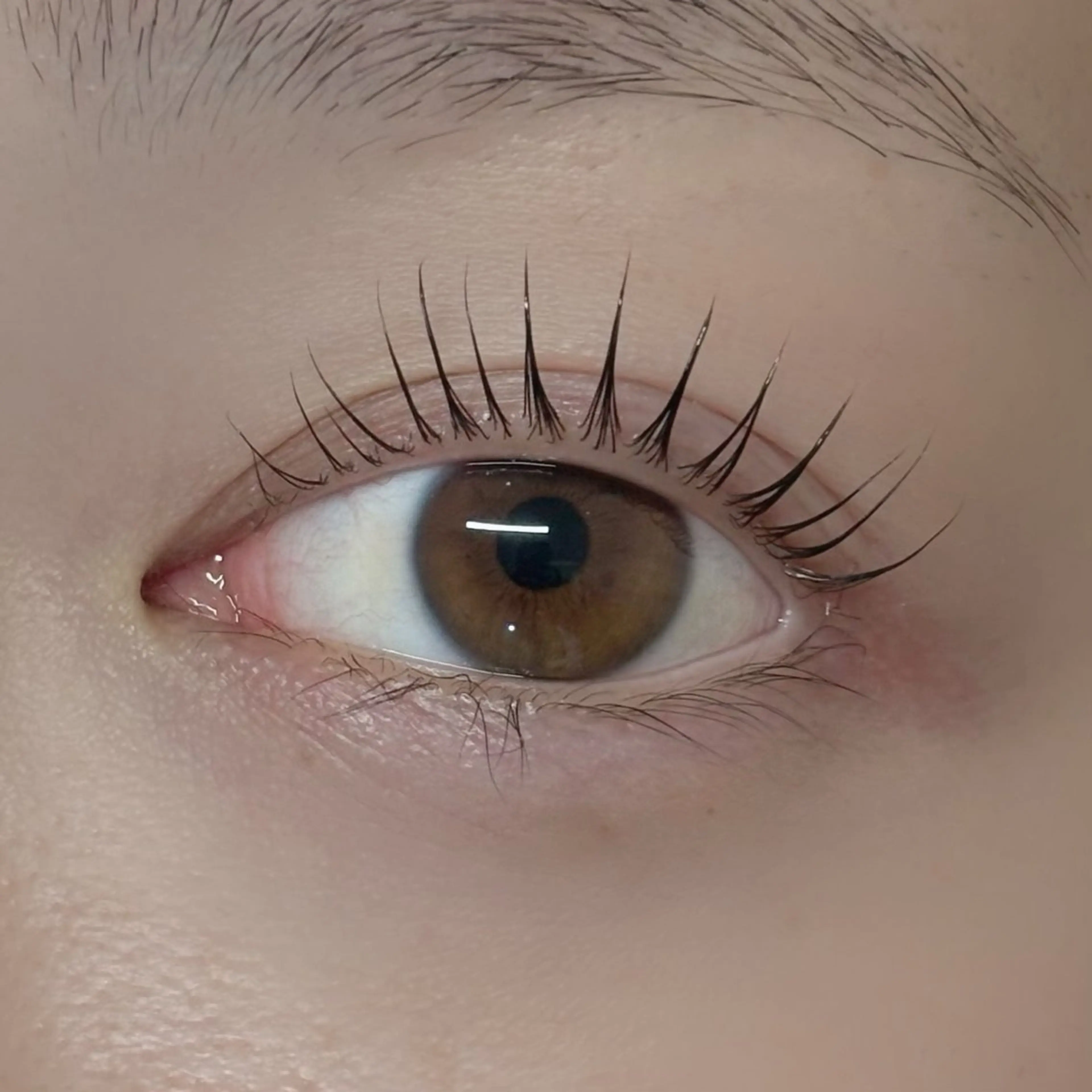 マツエク・マツパ Suim所属・Suim eye&nailのマツエク・マツパデザイン