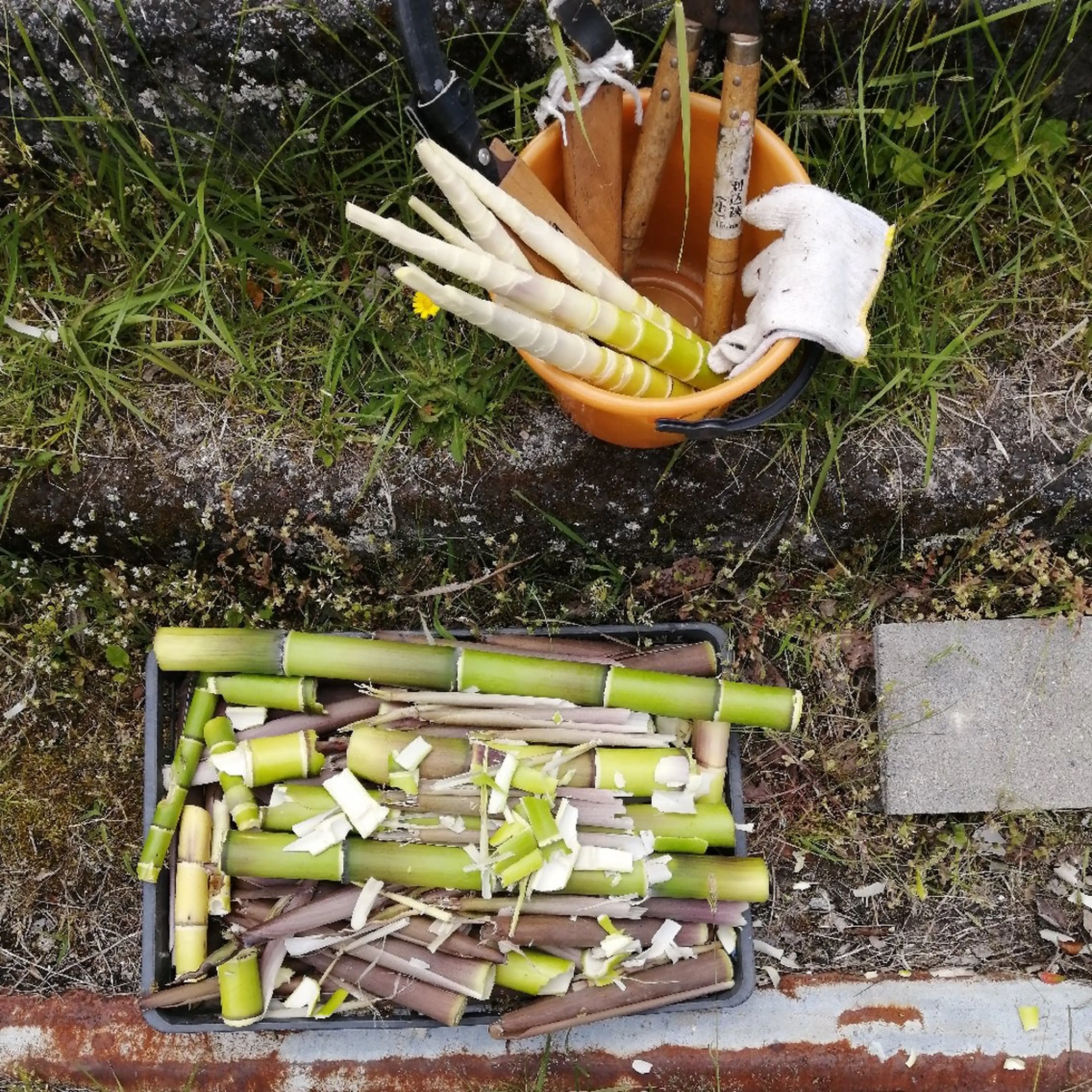 D/i所属・D/i |Y/no. 〈夜スパ17時〜〉のヘアスタイル