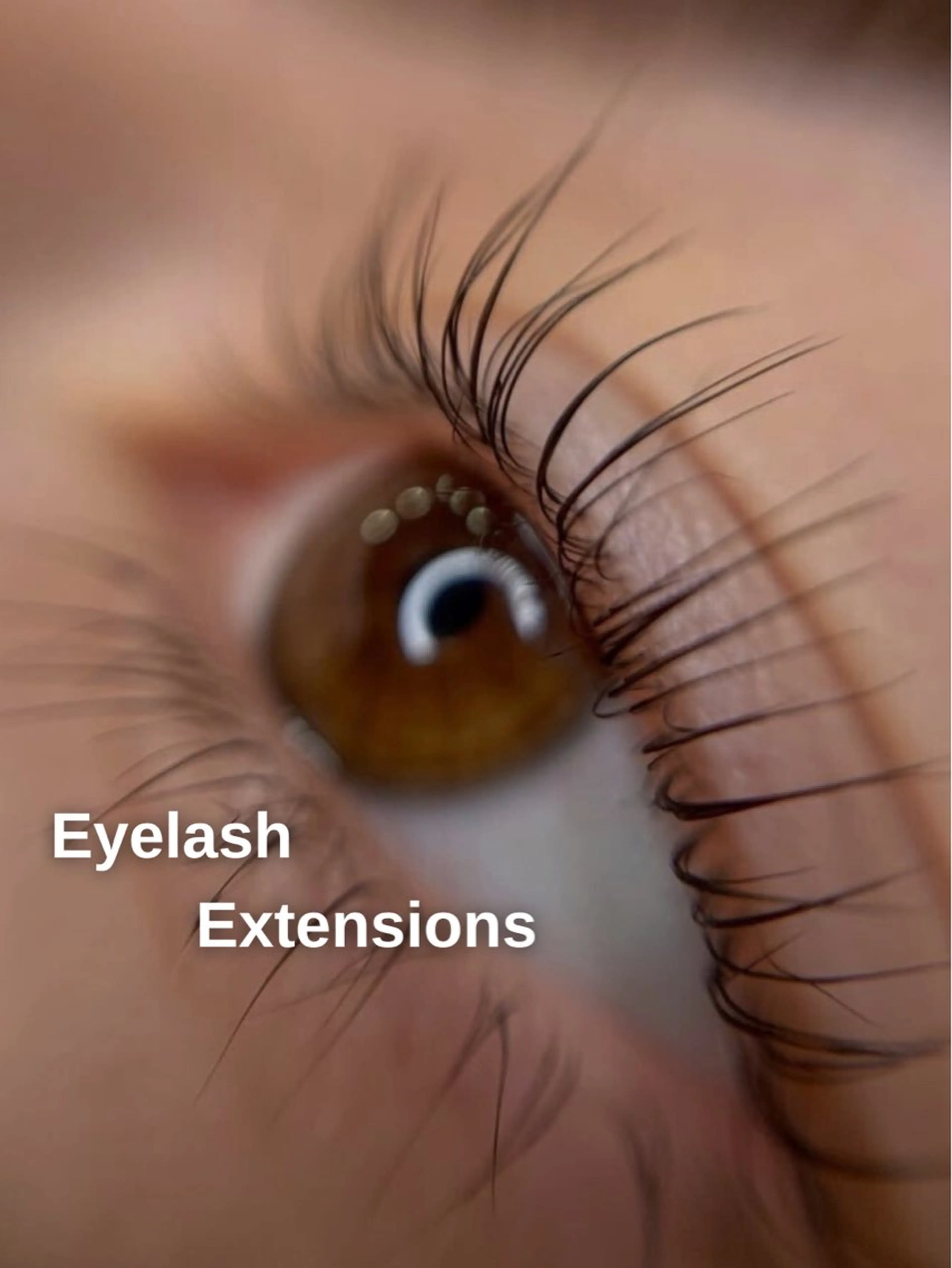 【Jr.アイリスト/まつエク】フラットラッシュ（80本）の写真