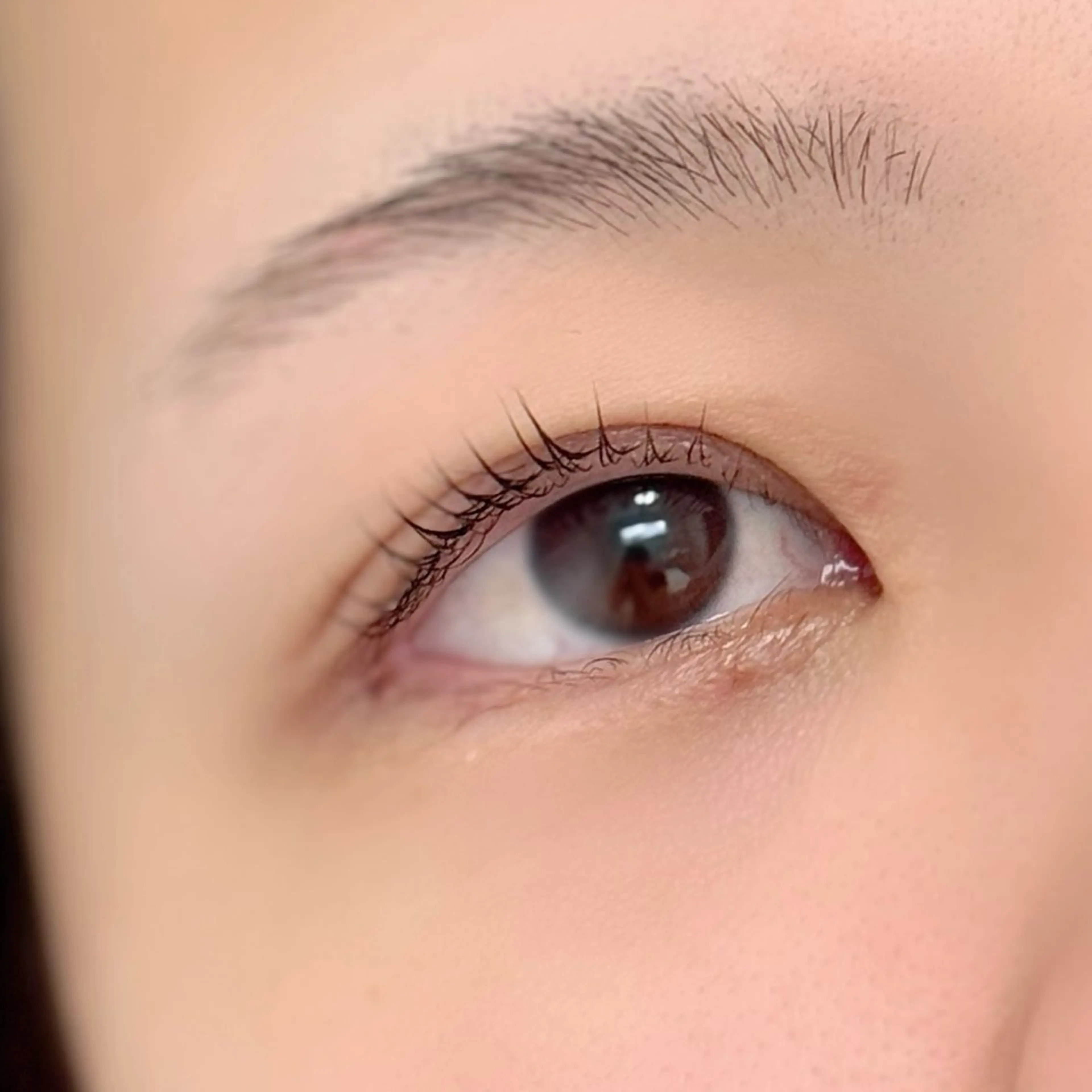 🤍まつ毛パーマ✺⋆*の写真