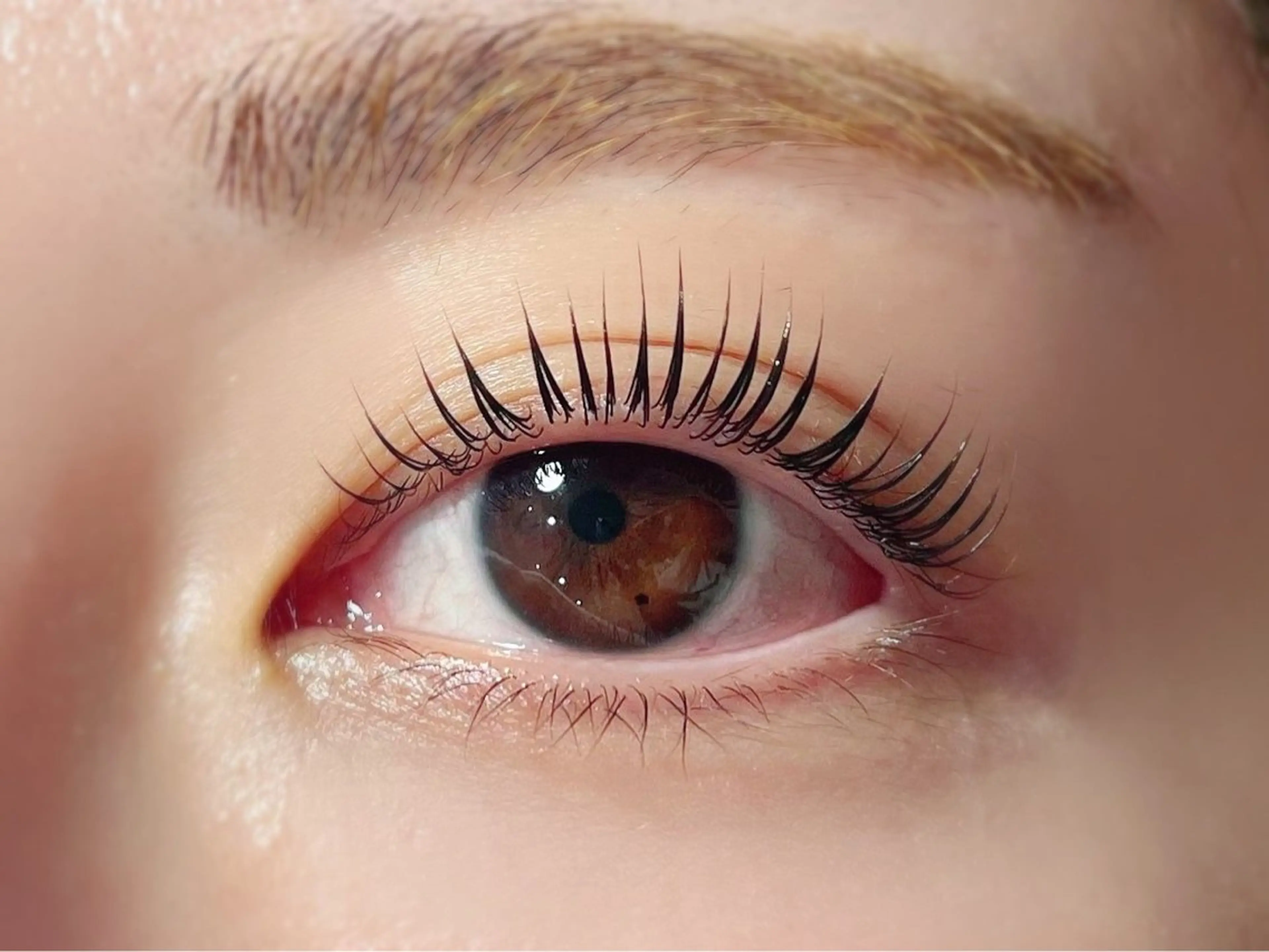 💗5月限定💗パリジェンヌラッシュリフト🌸5000円の写真