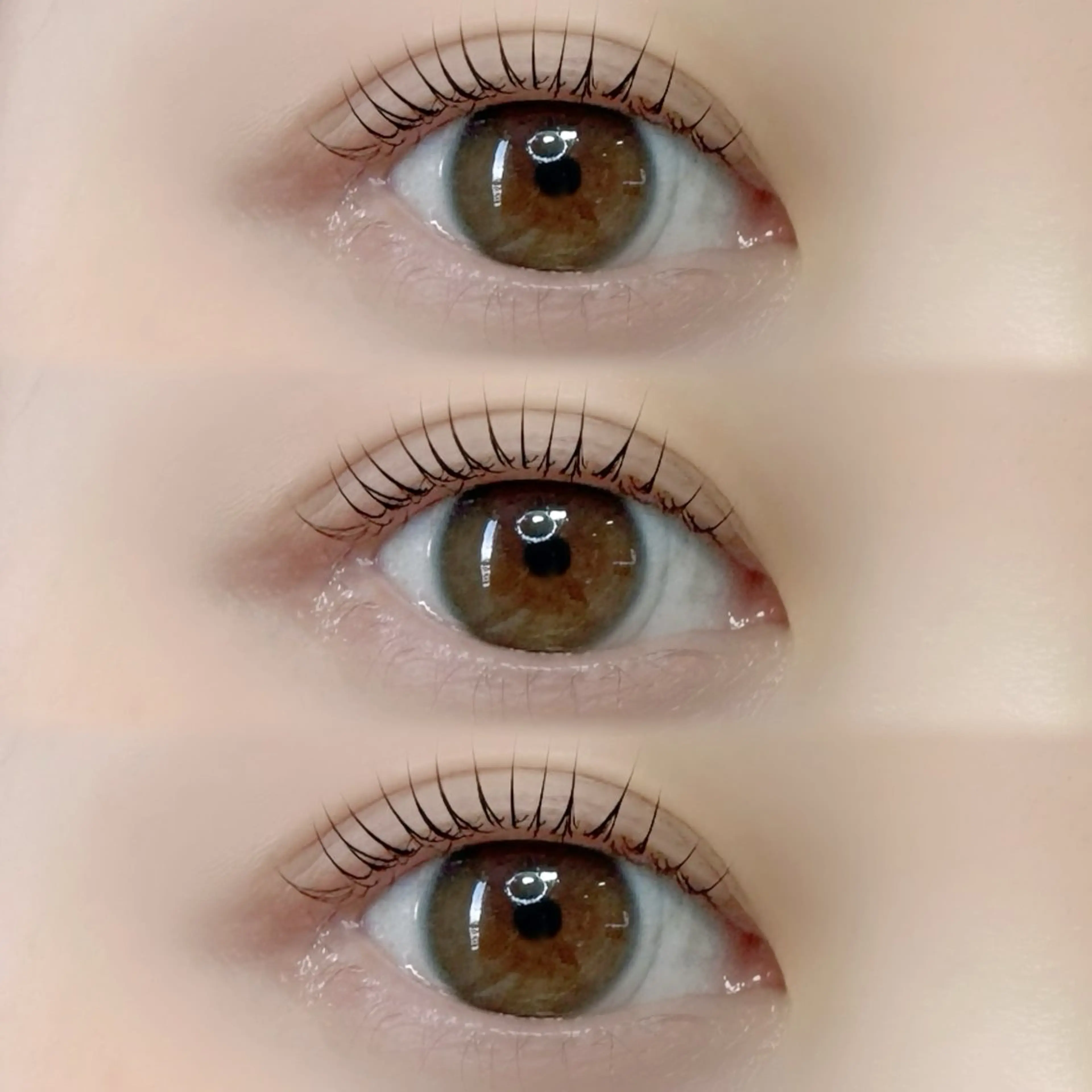 【リピーター】🫧‎💛選べるデザインラッシュリフト💛🫧の写真