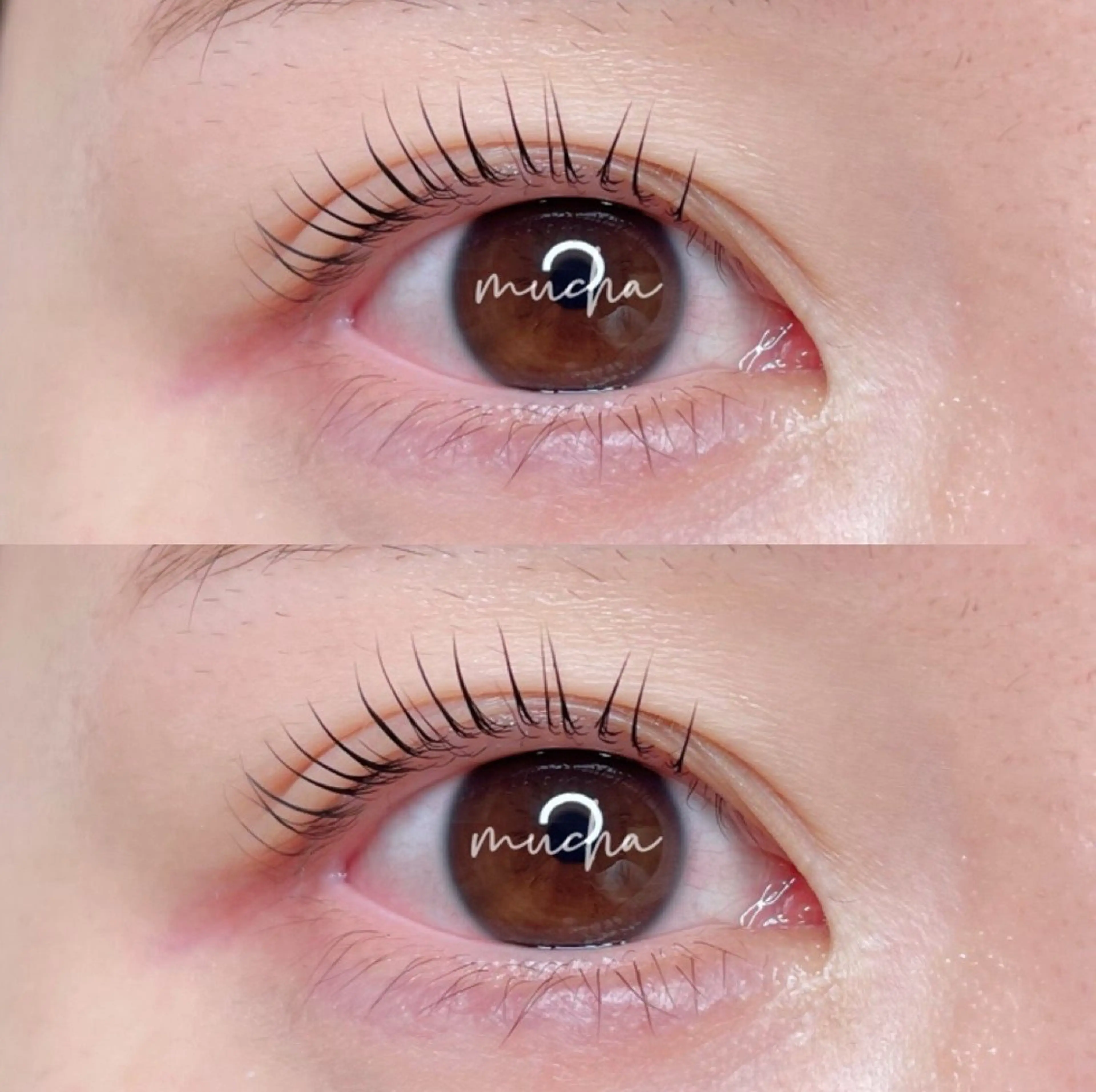 マツエク・マツパ eyelash muchaのマツエク・マツパデザイン