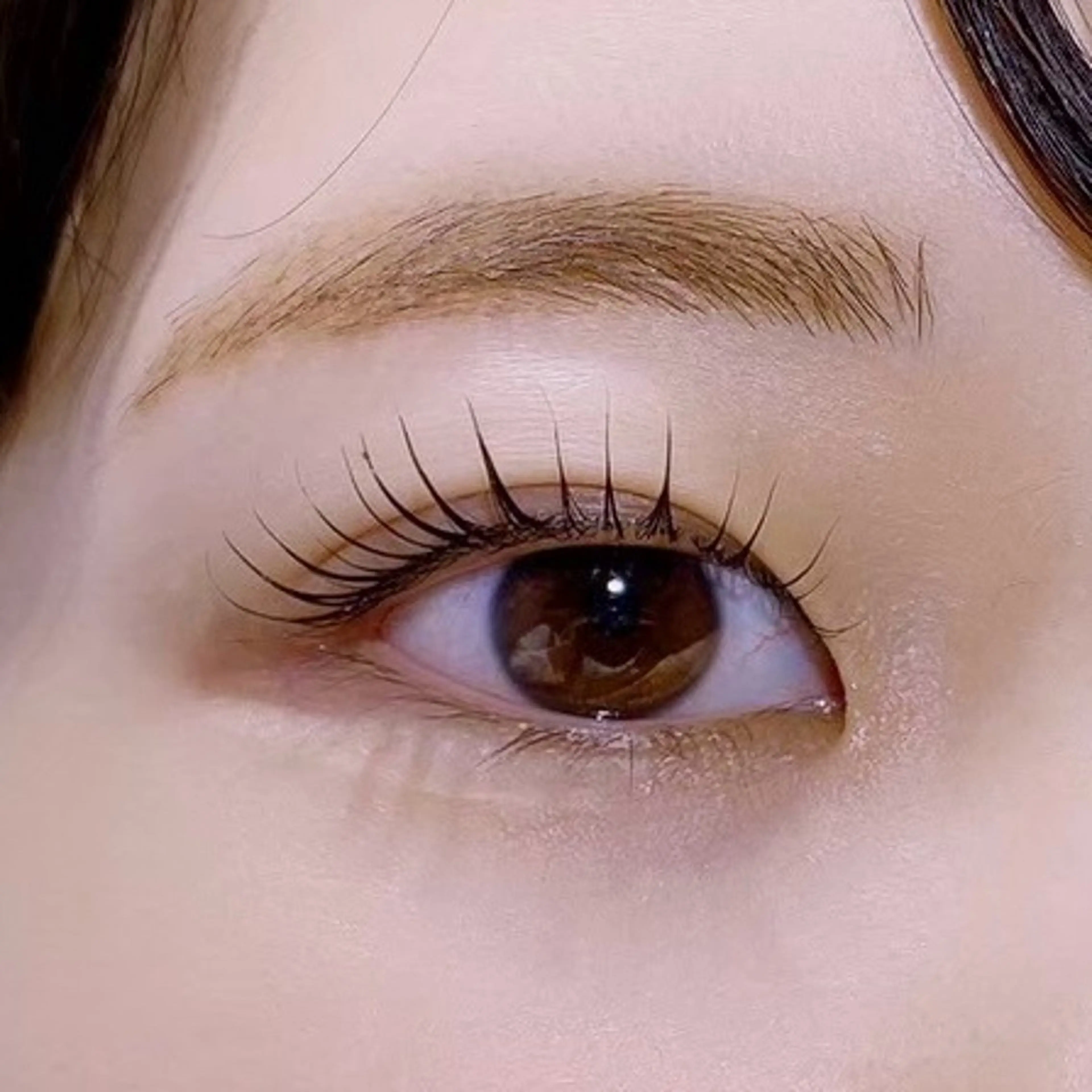 🌺メーテルロッドラッシュリフト🌿まつ毛パーマ＋束感コーティング込の写真