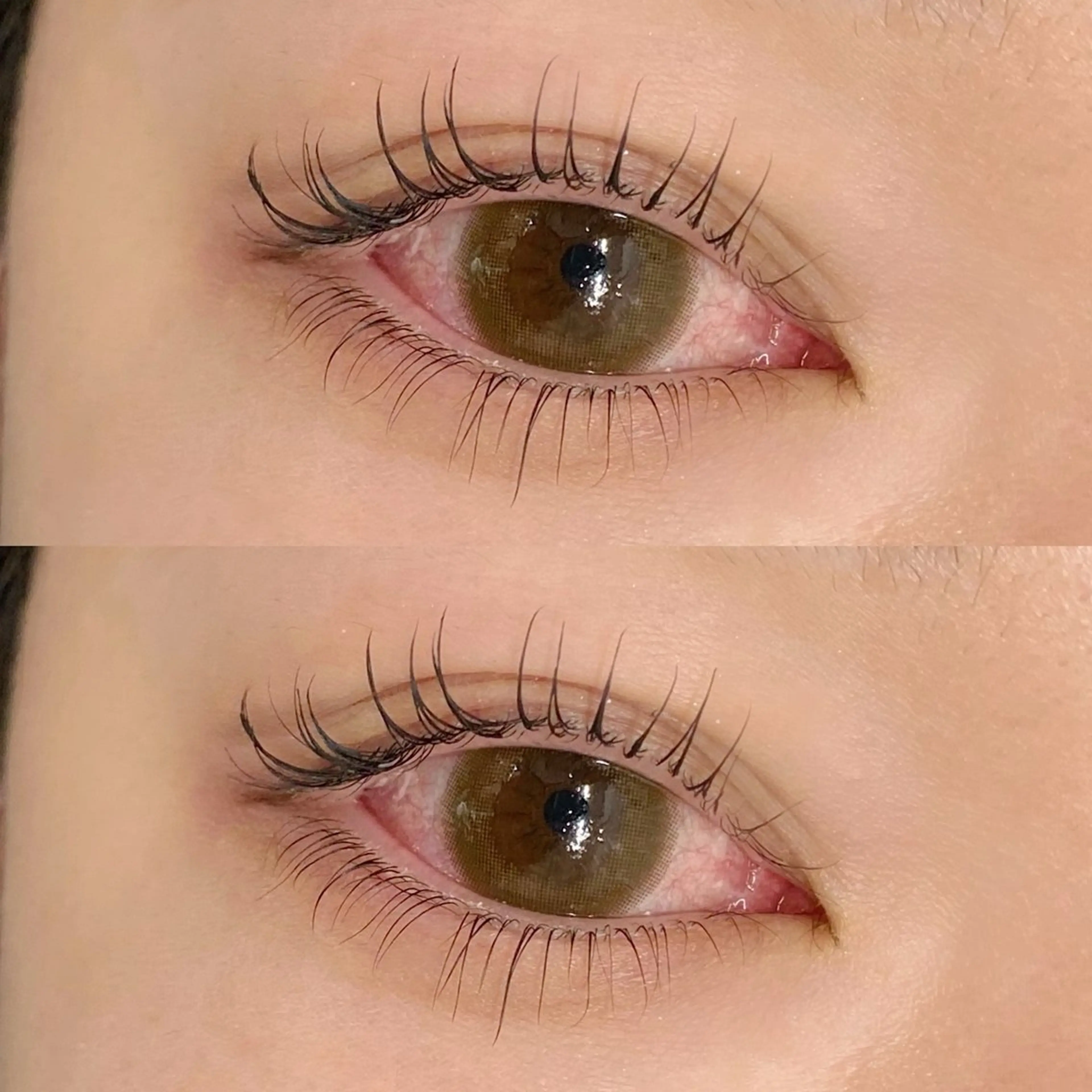 【12月限定💖】束感仕上げ⭐️上下まつげパーマ、パリジェンヌリフト︎✨✨の写真