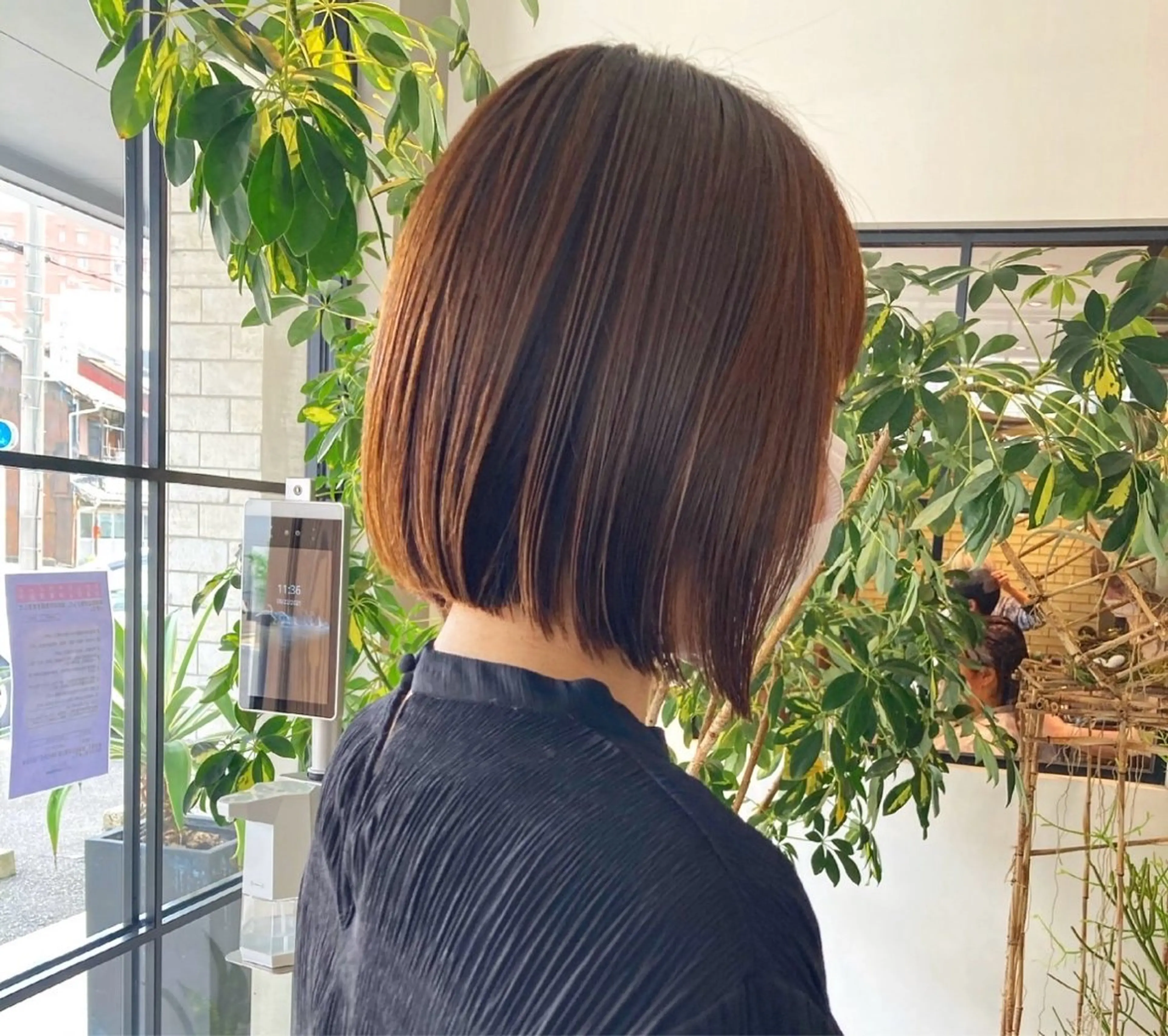 ミディアム 白木 葵のヘアスタイル