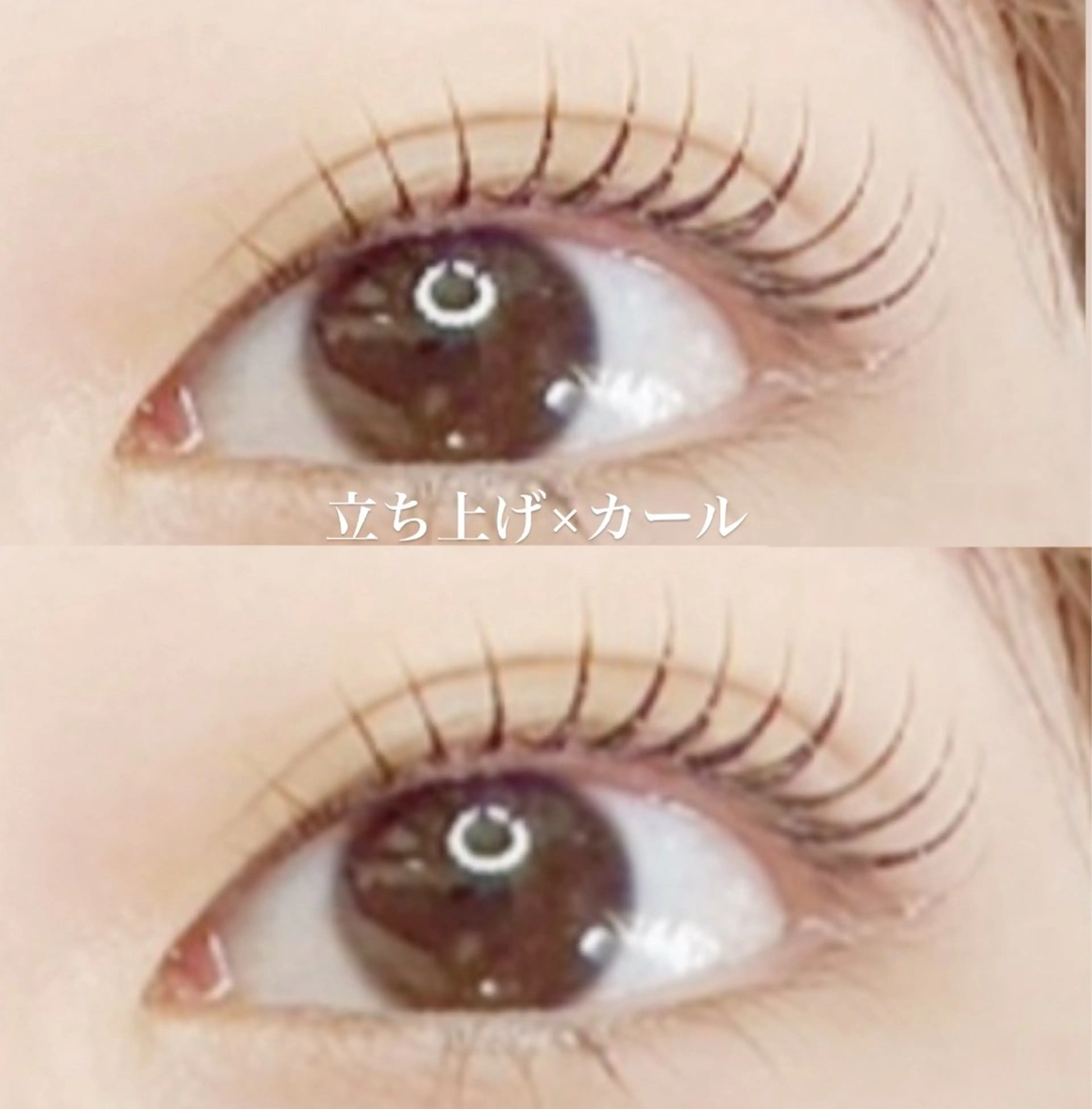 マツエク・マツパ マツパ マリーテレジア🌸 ENDOのマツエク・マツパデザイン