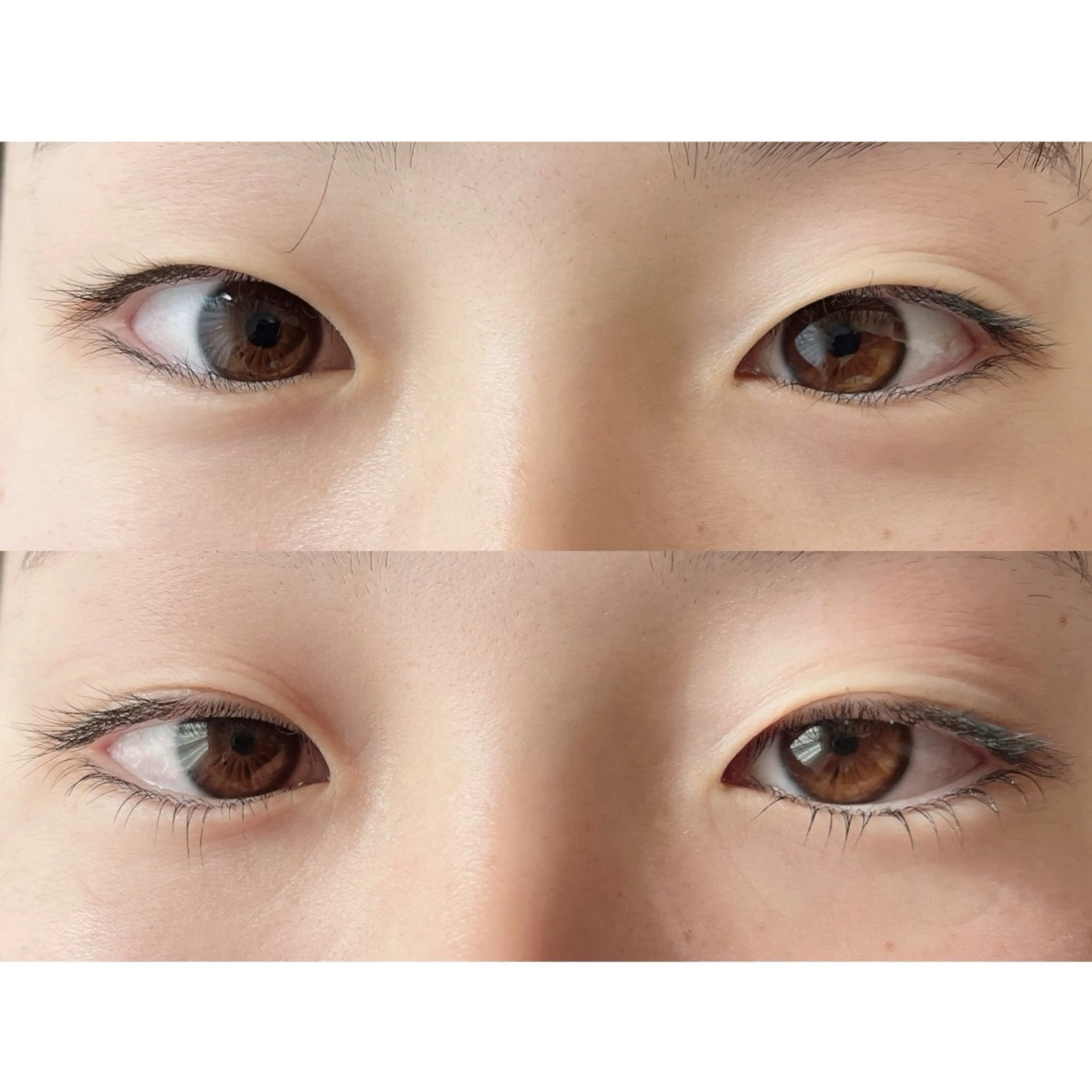 マツエク・マツパ 下まつげエクステ 一重×まつ毛パーマ マツパ enu beauty salon所属・enu beauty salonのマツエク・マツパデザイン