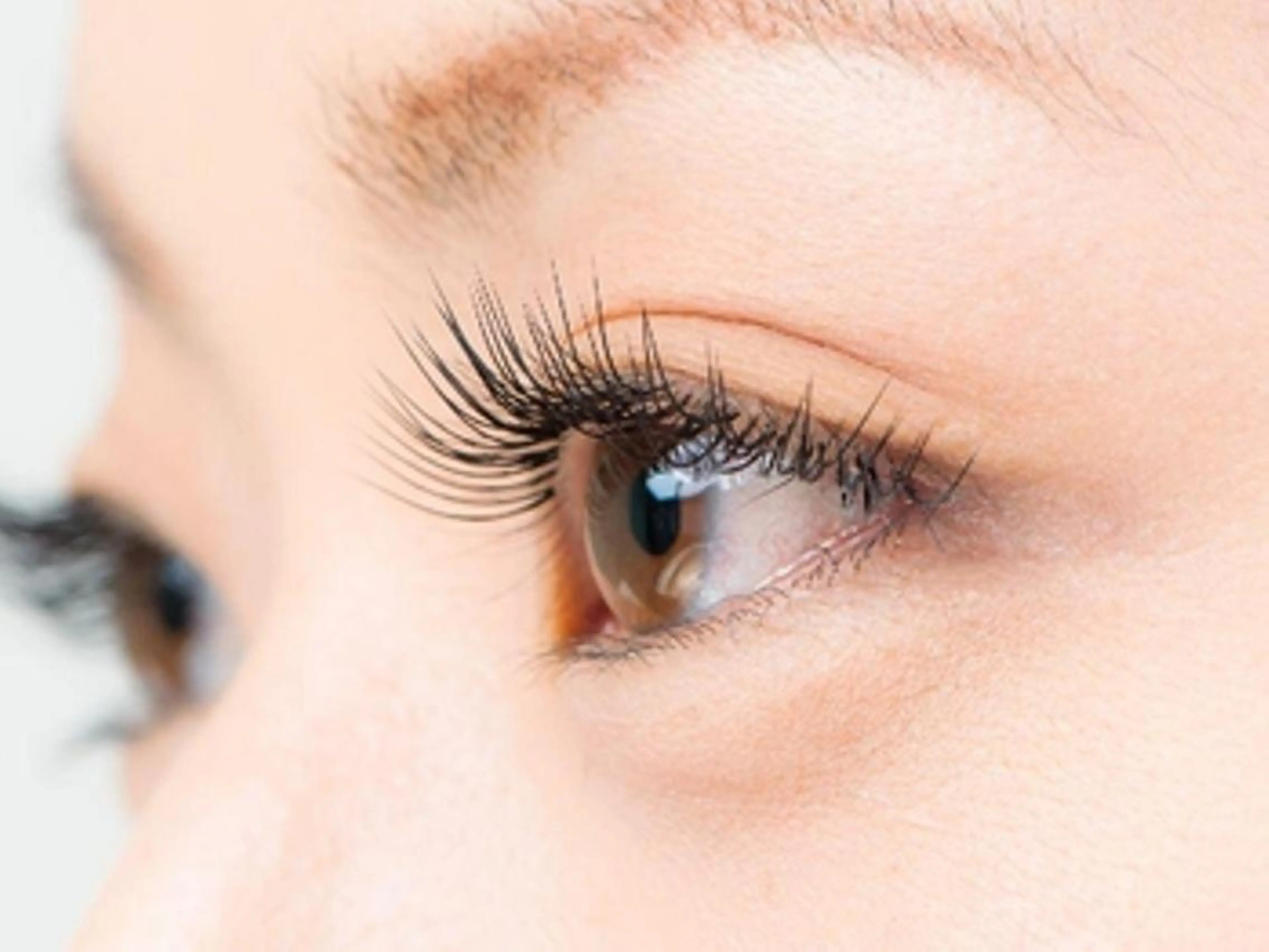 マツエク・マツパ Bunny eyes NEWOTANI博多のマツエク・マツパデザイン