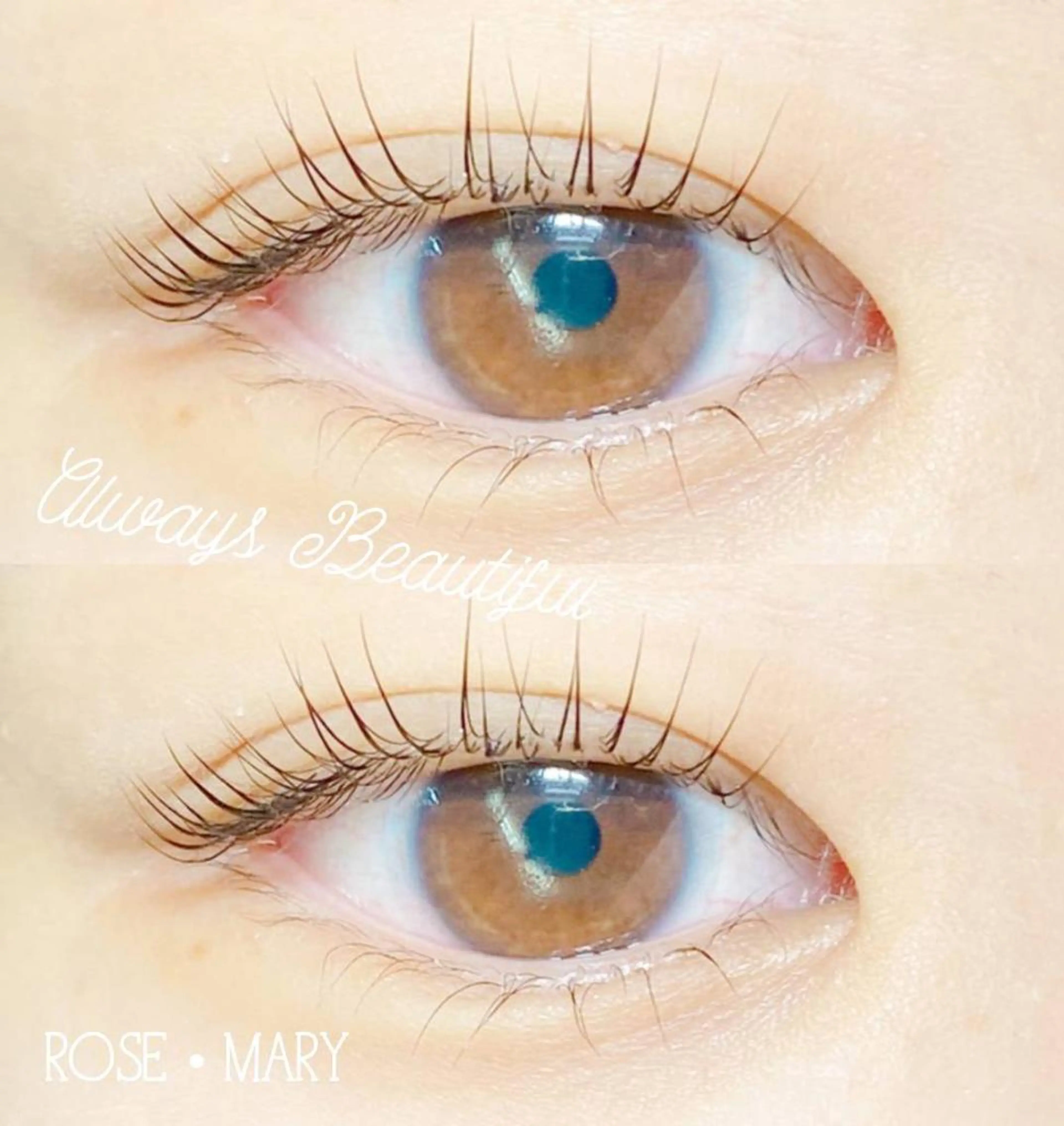 マツエク・マツパ マツパ ROSE MARY 大竹のマツエク・マツパデザイン