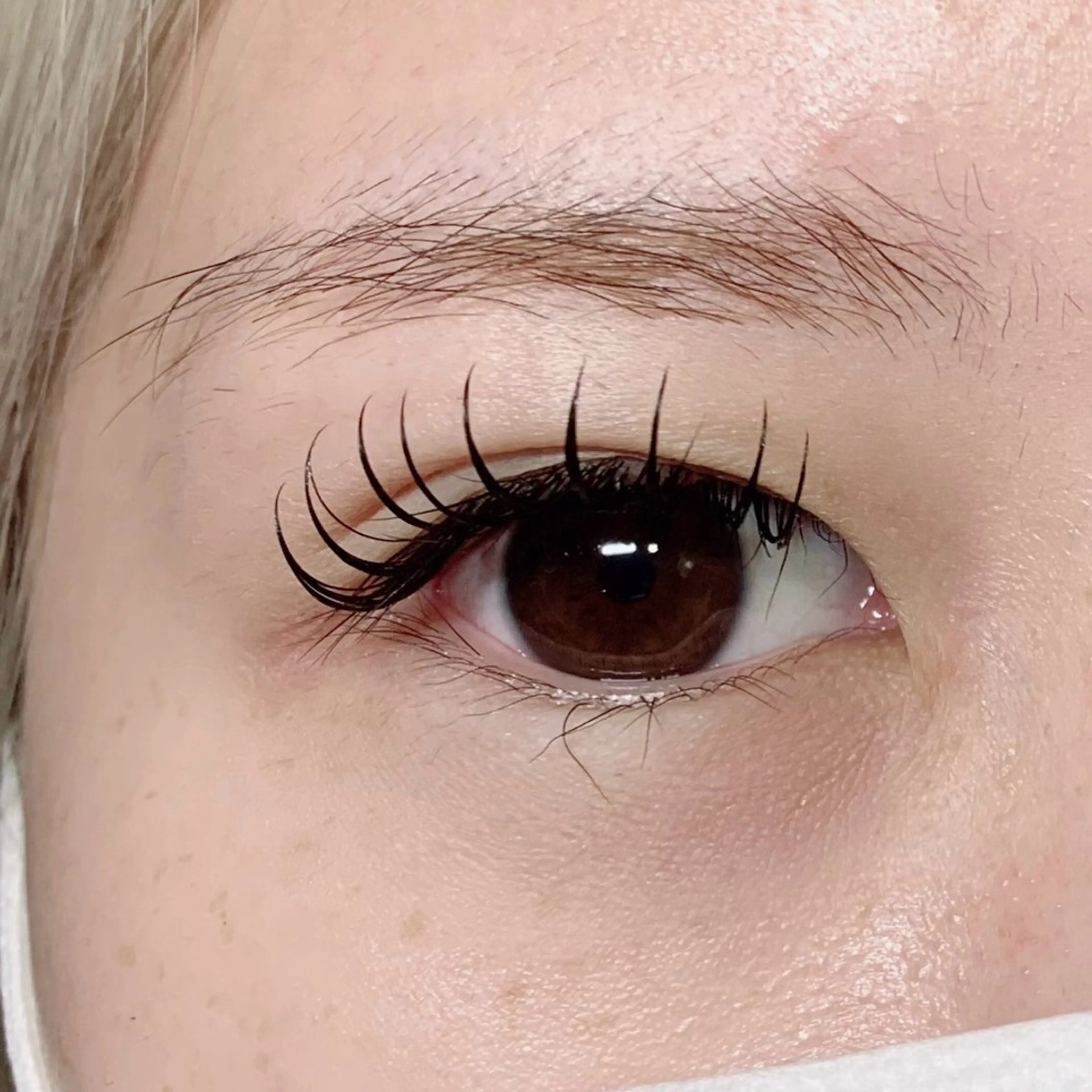 🦋 フラットラッシュ 🦋 120本 ￥6300の写真