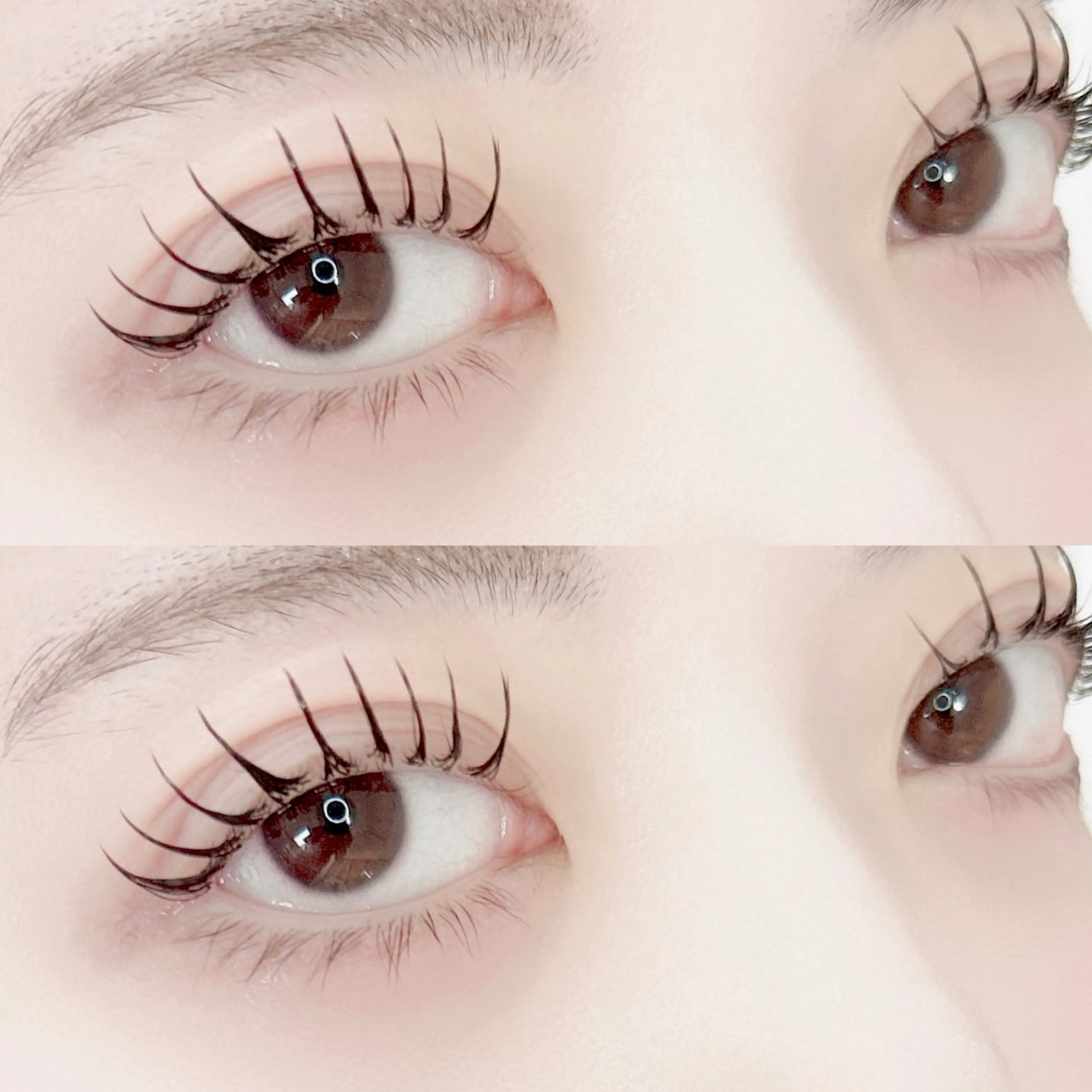 ✔️パリエク🩶パリジェンヌ×フラットラッシュ120本の写真