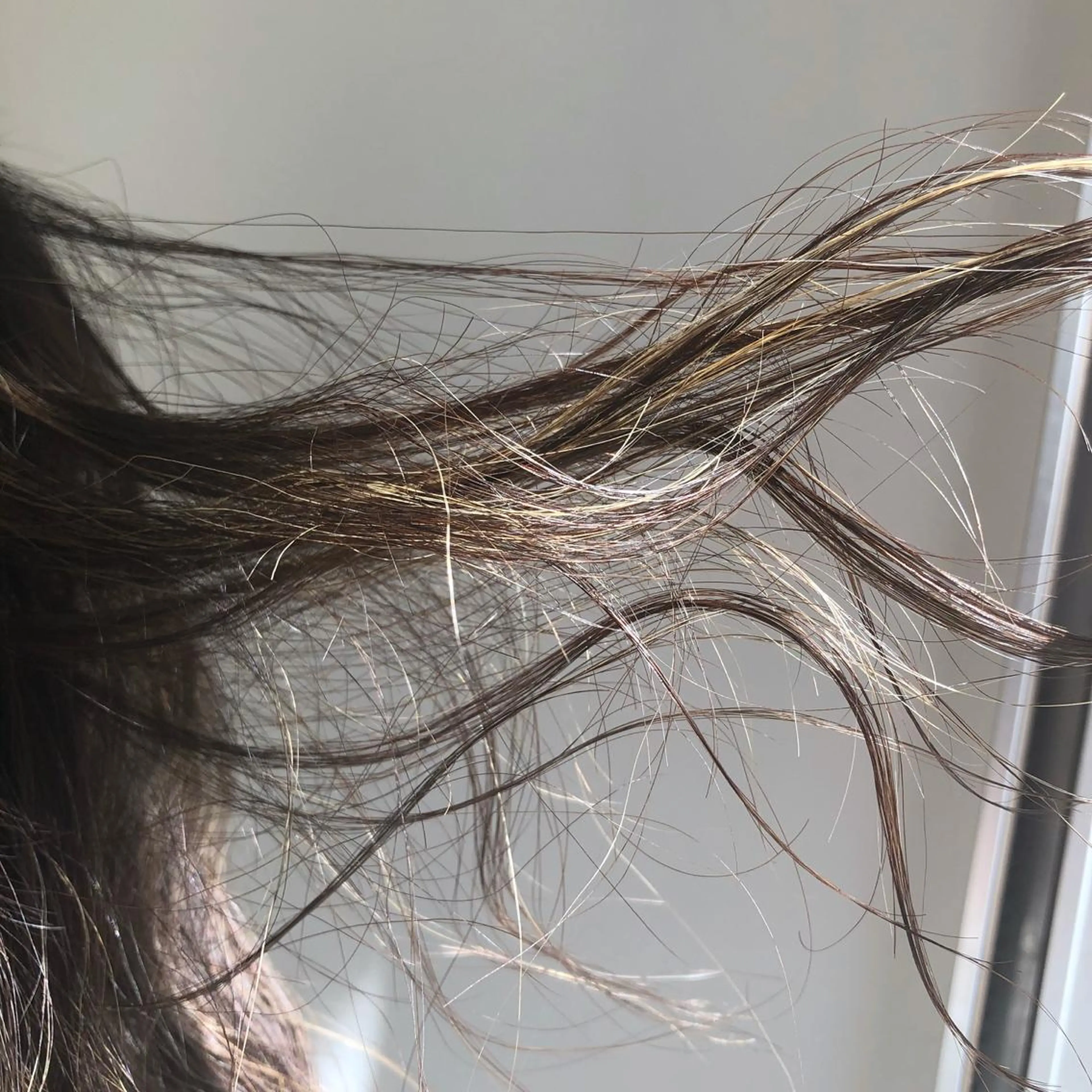 セミロング カラー グレージュ ハイライトカラー ハイライト Tao所属・藤川 大智のヘアスタイル