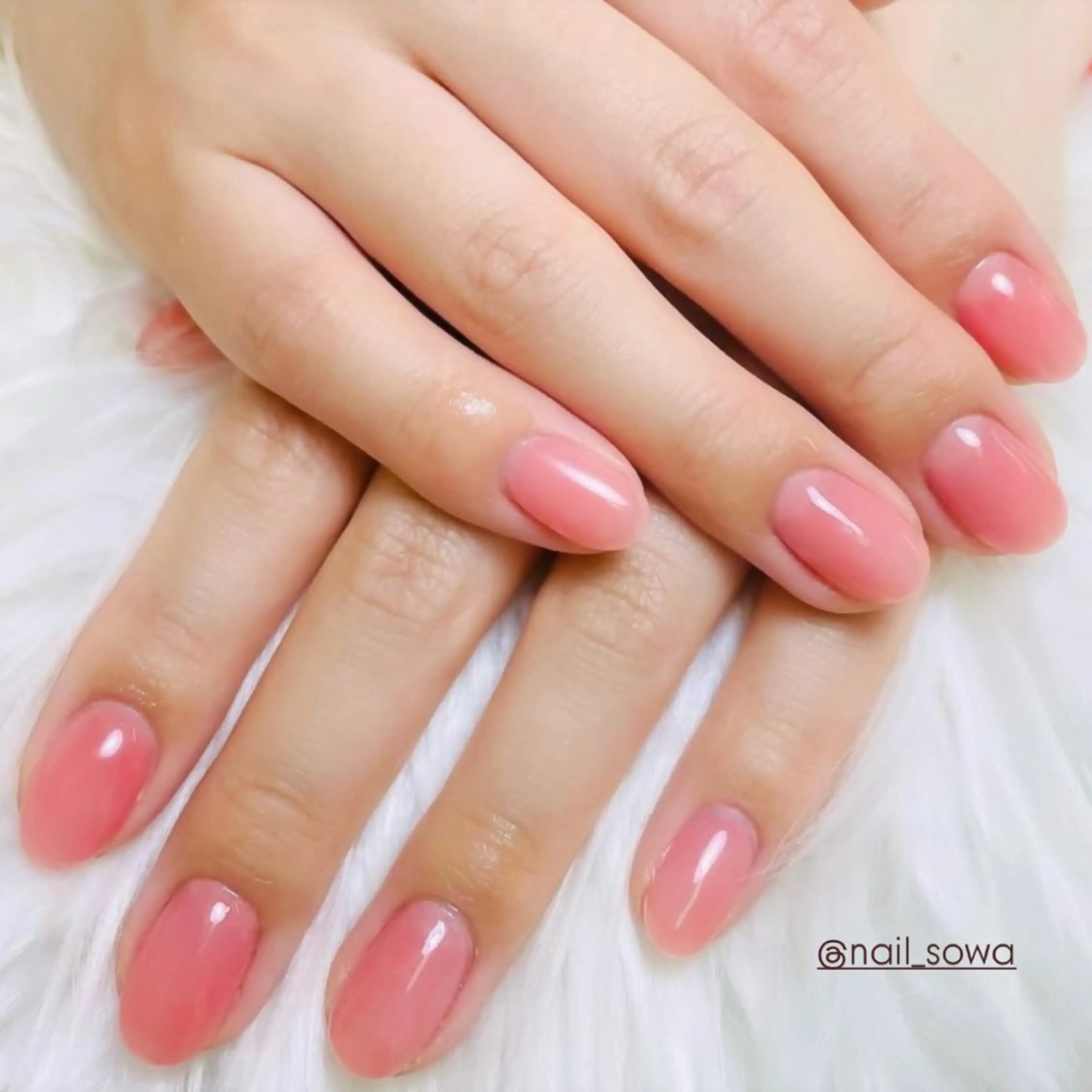 選べるワンカラー🩷オフあり🩷の写真