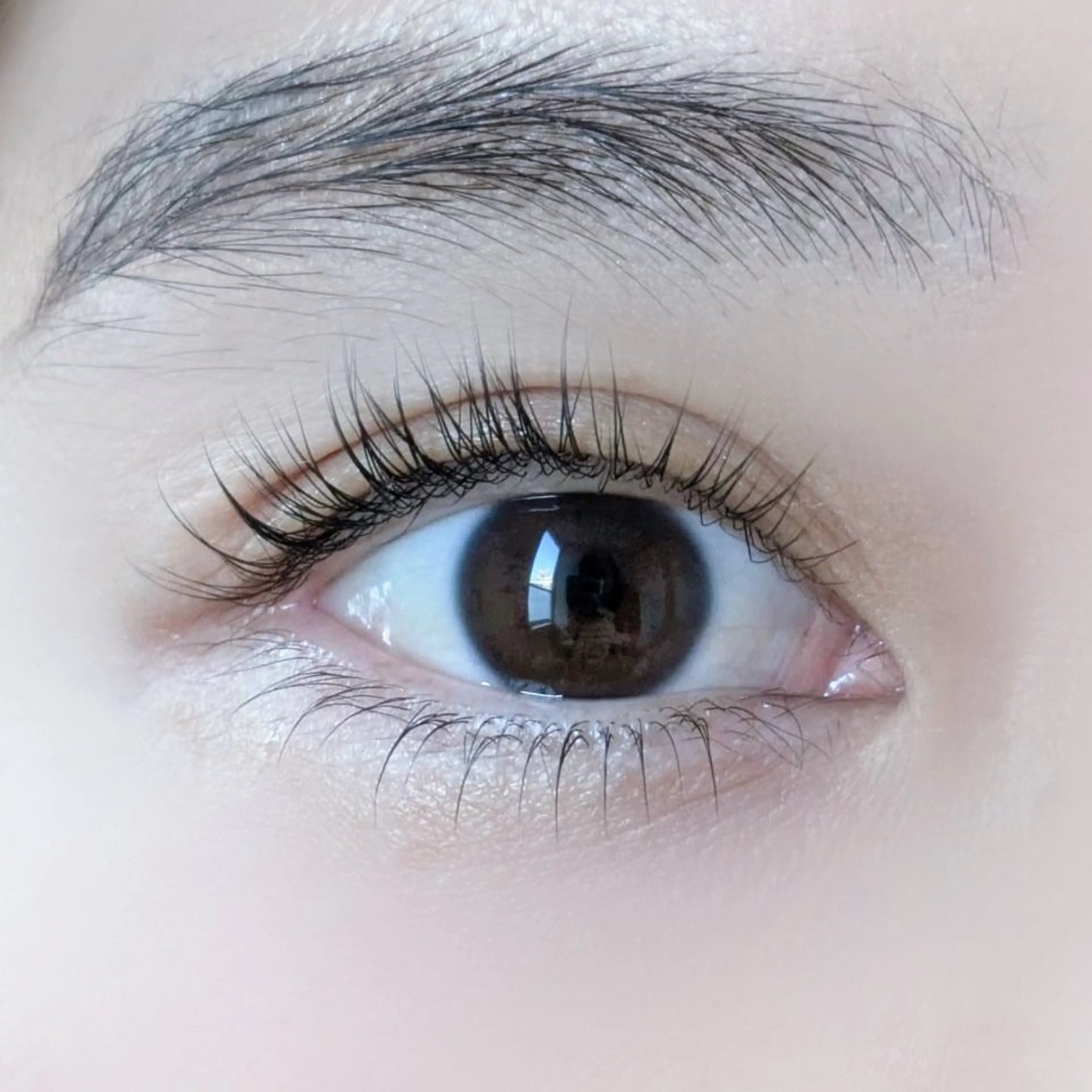 マツエク・マツパ fors  京橋｜ eye｜うぶみ‎🌷のマツエク・マツパデザイン