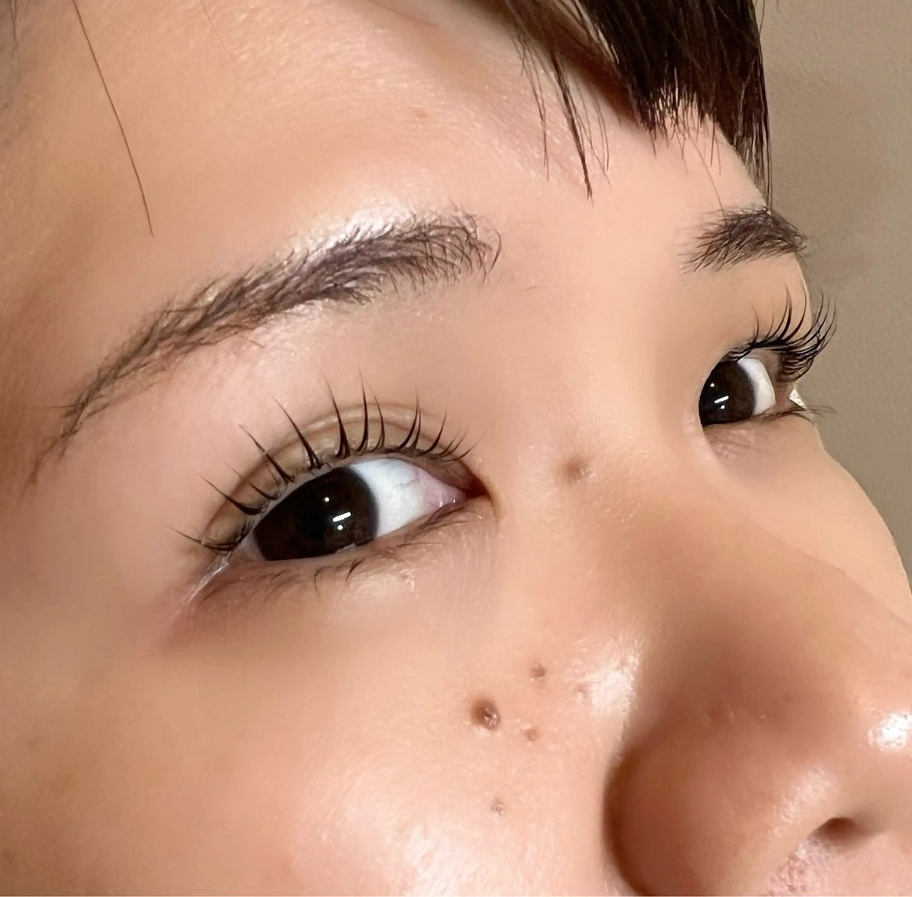 まつ毛パーマ(上)の写真