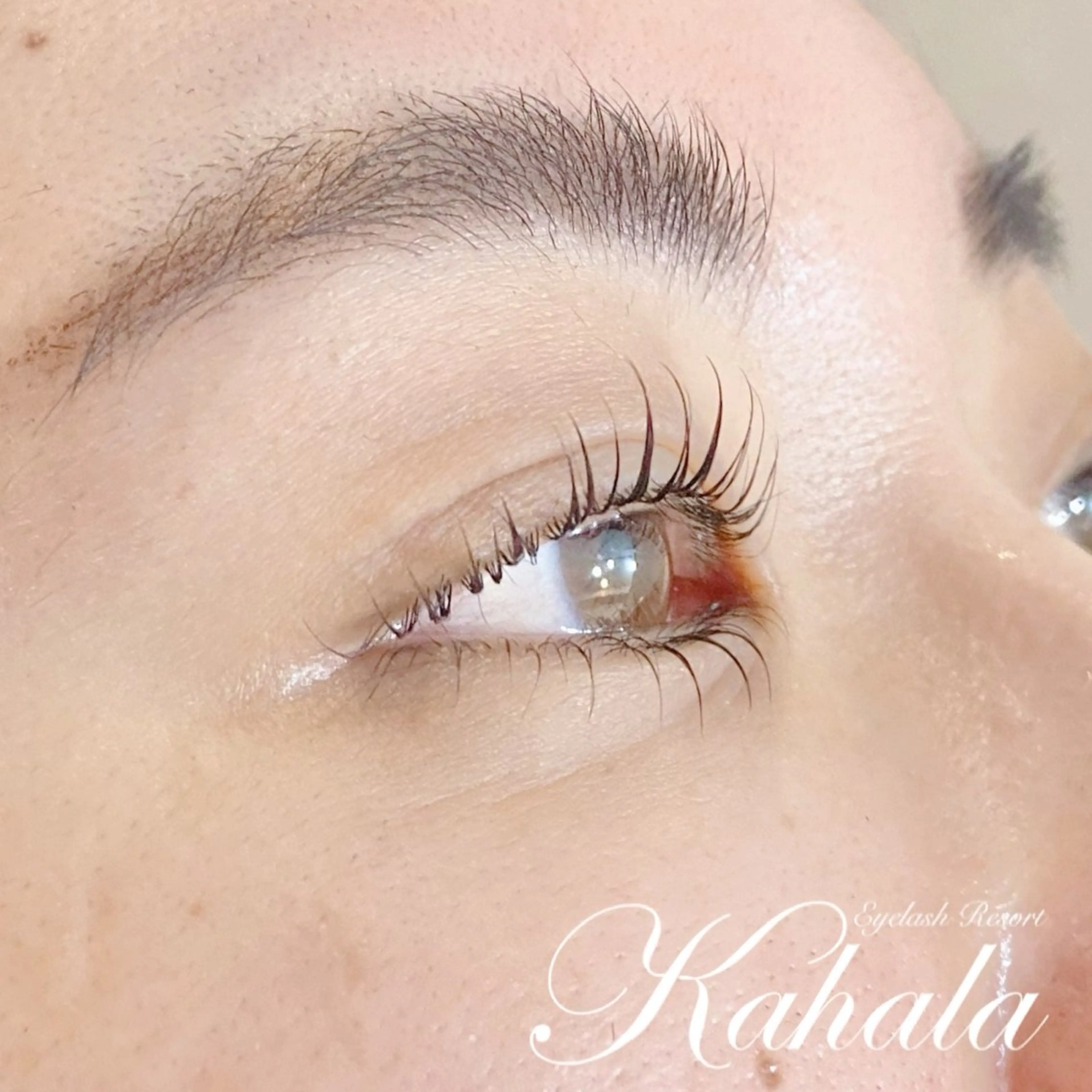 🦖まつ毛パーマ（上下）🦖　所要時間90分程度の写真