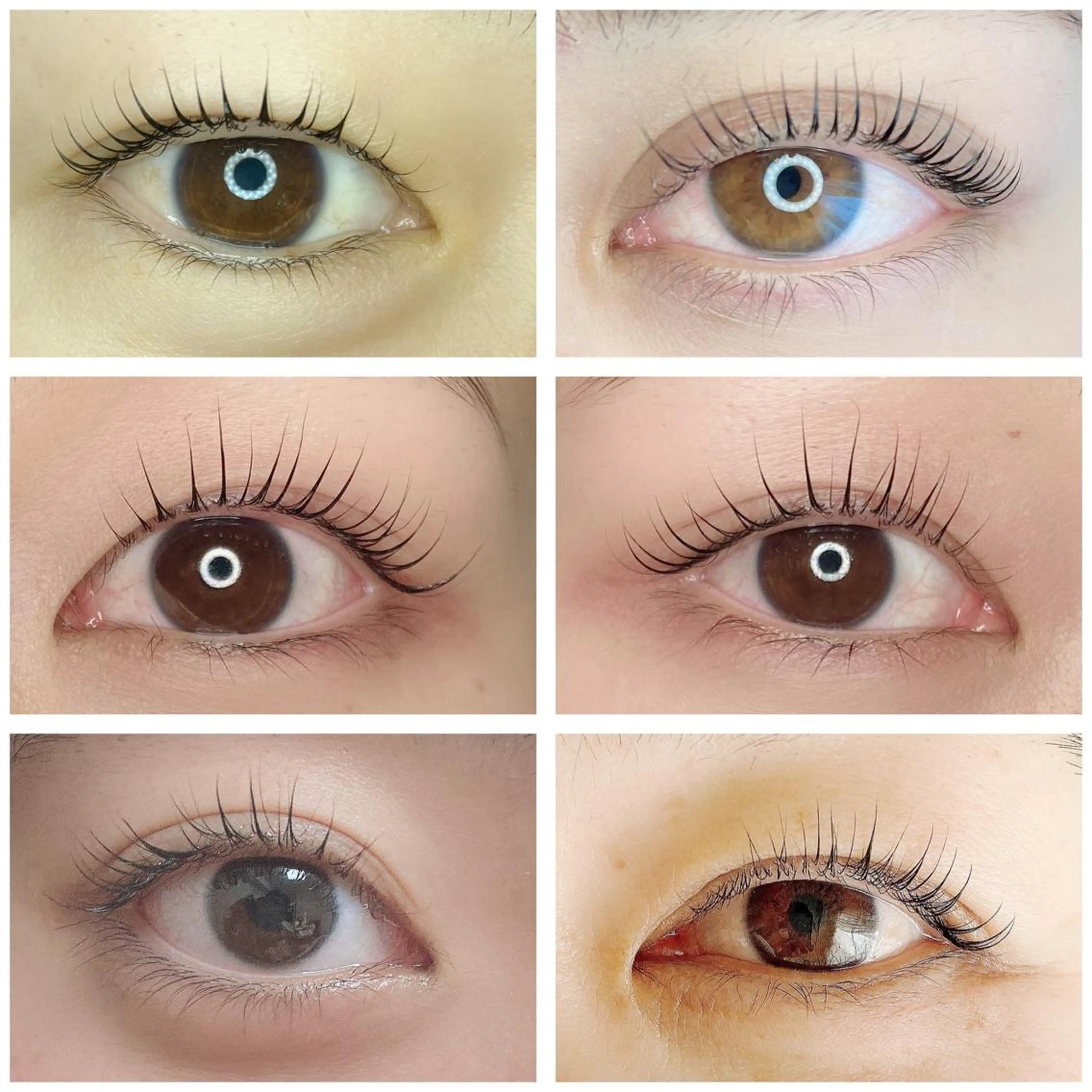 まつげパーマ（トリートメント込み）の写真