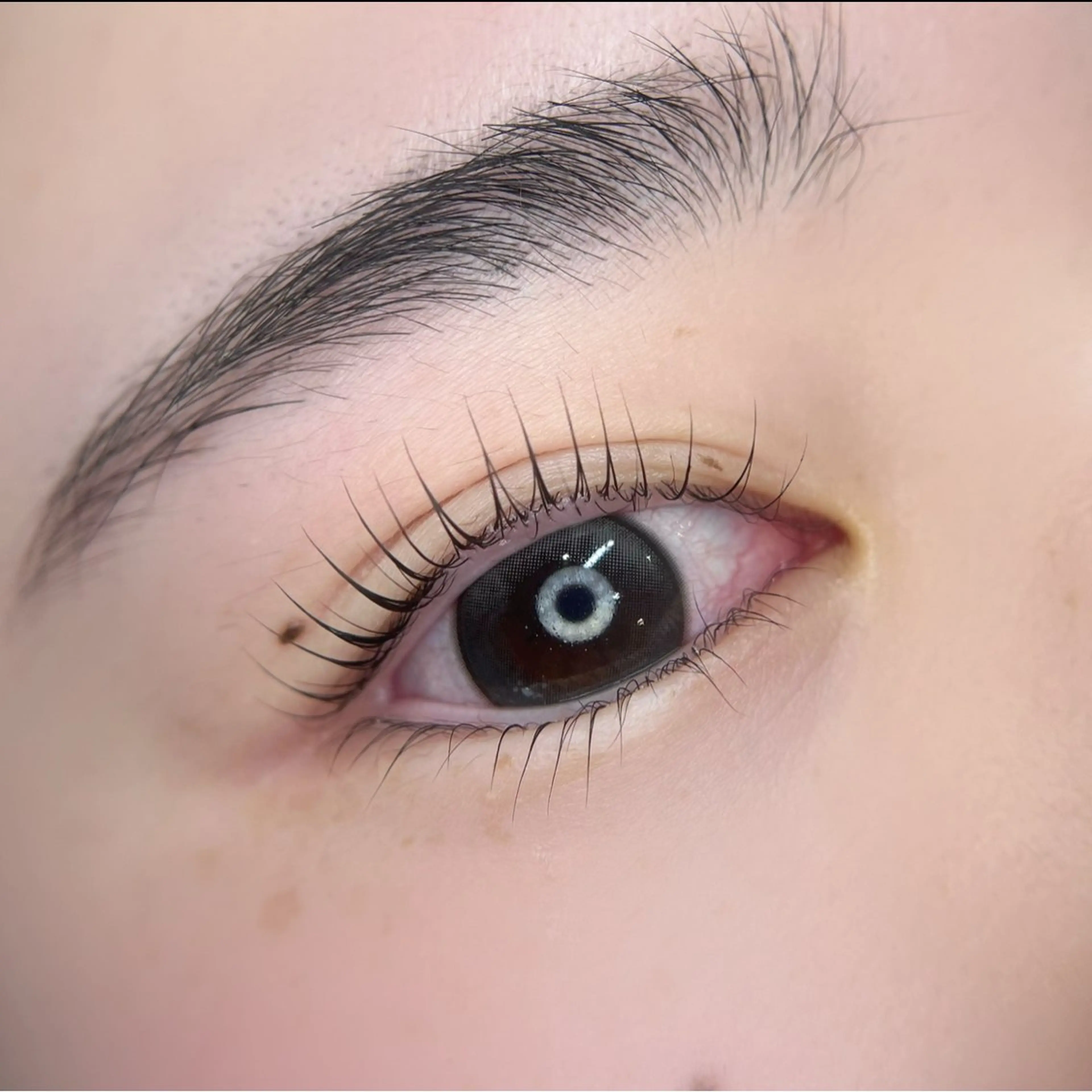 マツエク・マツパ パリジェンヌラッシュリフト mellow:所属・mellow: eyelashのマツエク・マツパデザイン