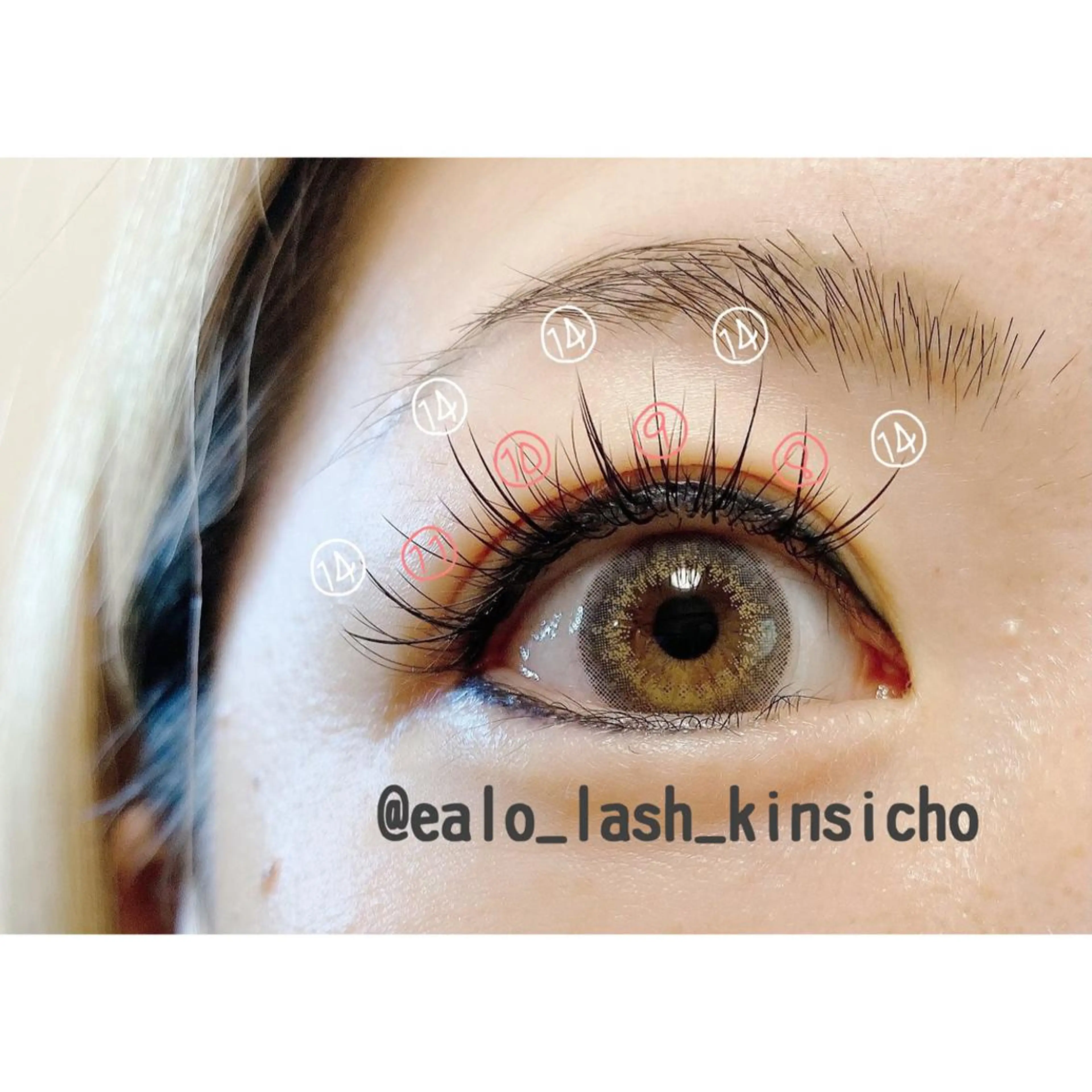 マツエク・マツパ ワンホンマツエク マツエク Ealo押上 Erieのマツエク・マツパデザイン