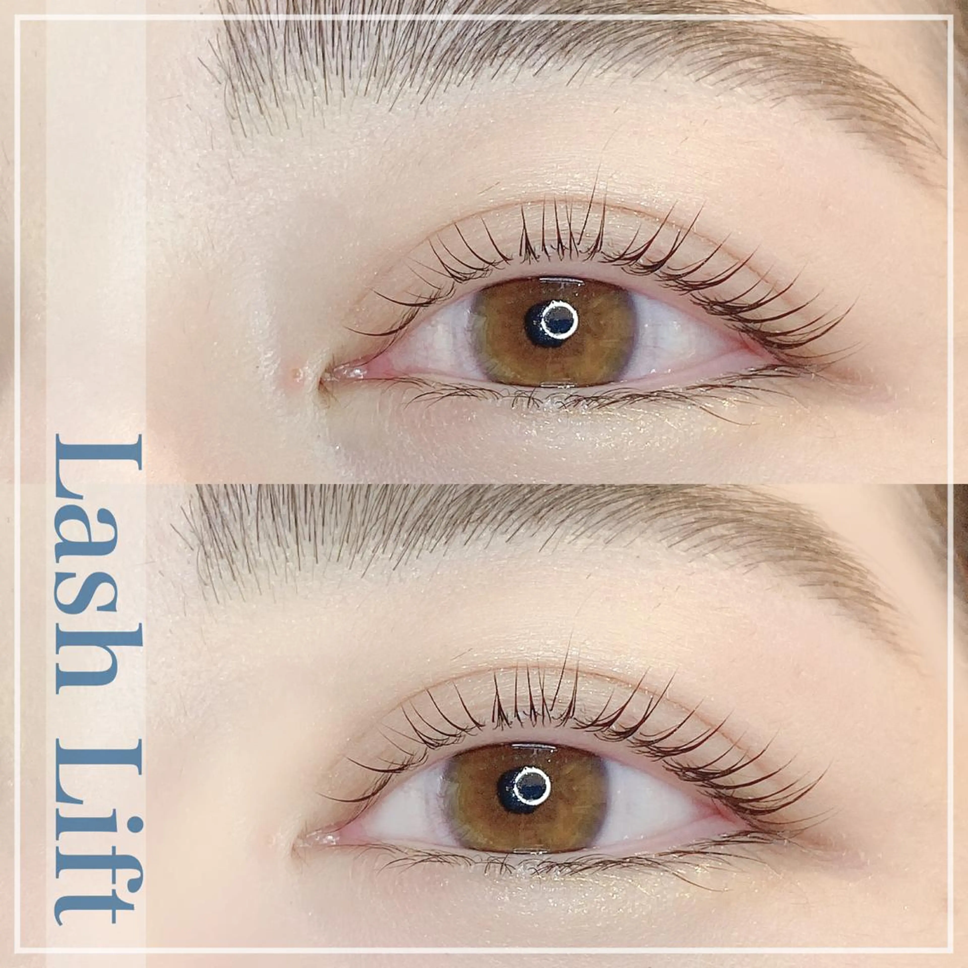 マツエク・マツパ ナチュラル 奥沢/自由が丘 Lien〈リアン〉のマツエク・マツパデザイン