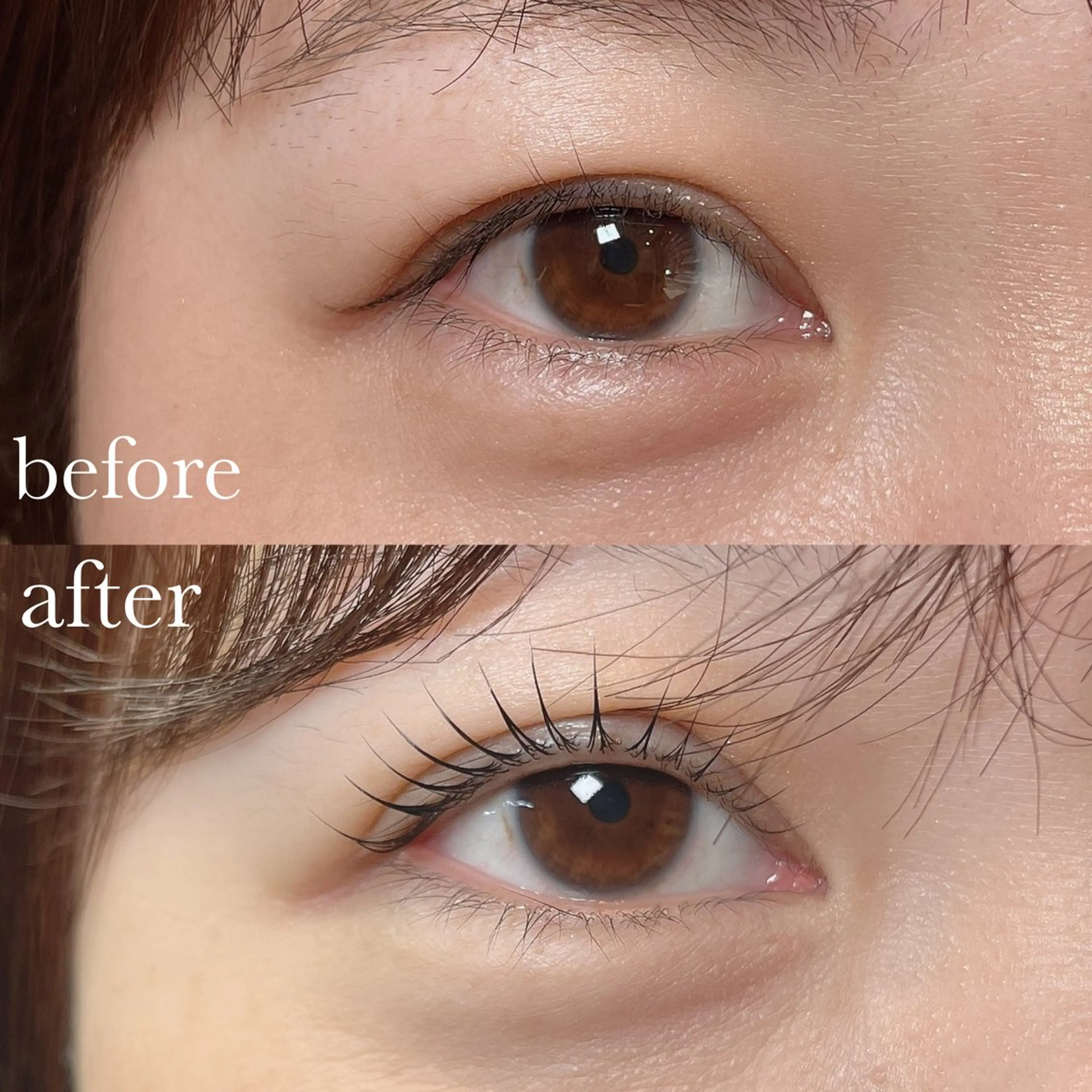 【選べるデザイン】ダメージレスラッシュリフト(上まつげパーマ)の写真