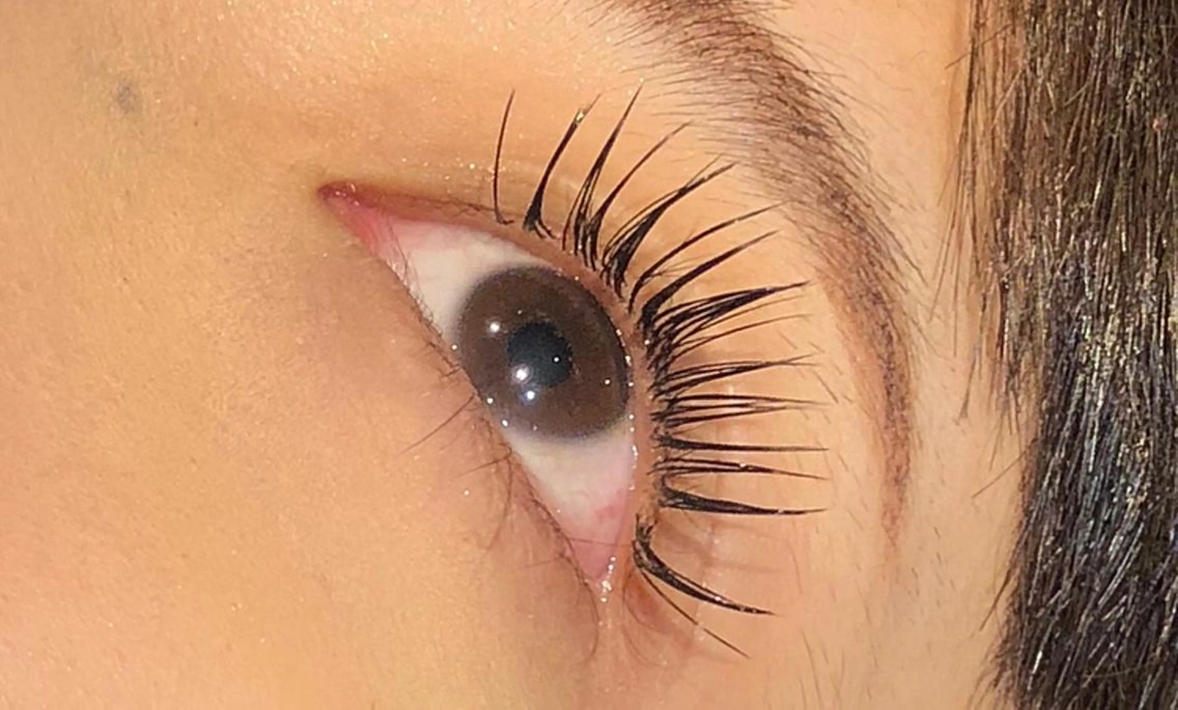 マツエク・マツパ 🌼Alba🌼 犬馬塲のマツエク・マツパデザイン