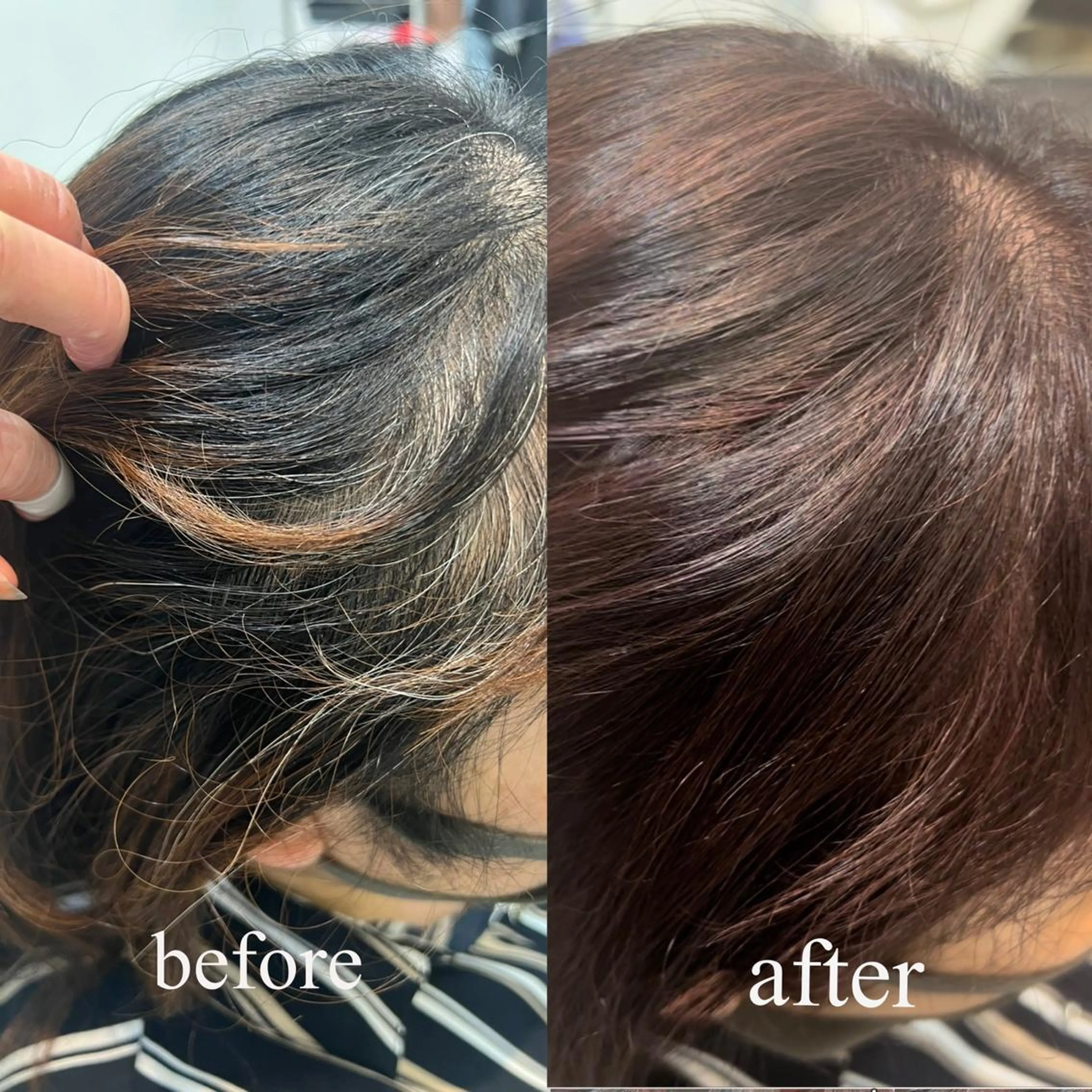 セミロング カラー カシス ハイライトカラー ハイライト トリートメント 大人女性ぼかし メンズ強化🦙平作のヘアスタイル