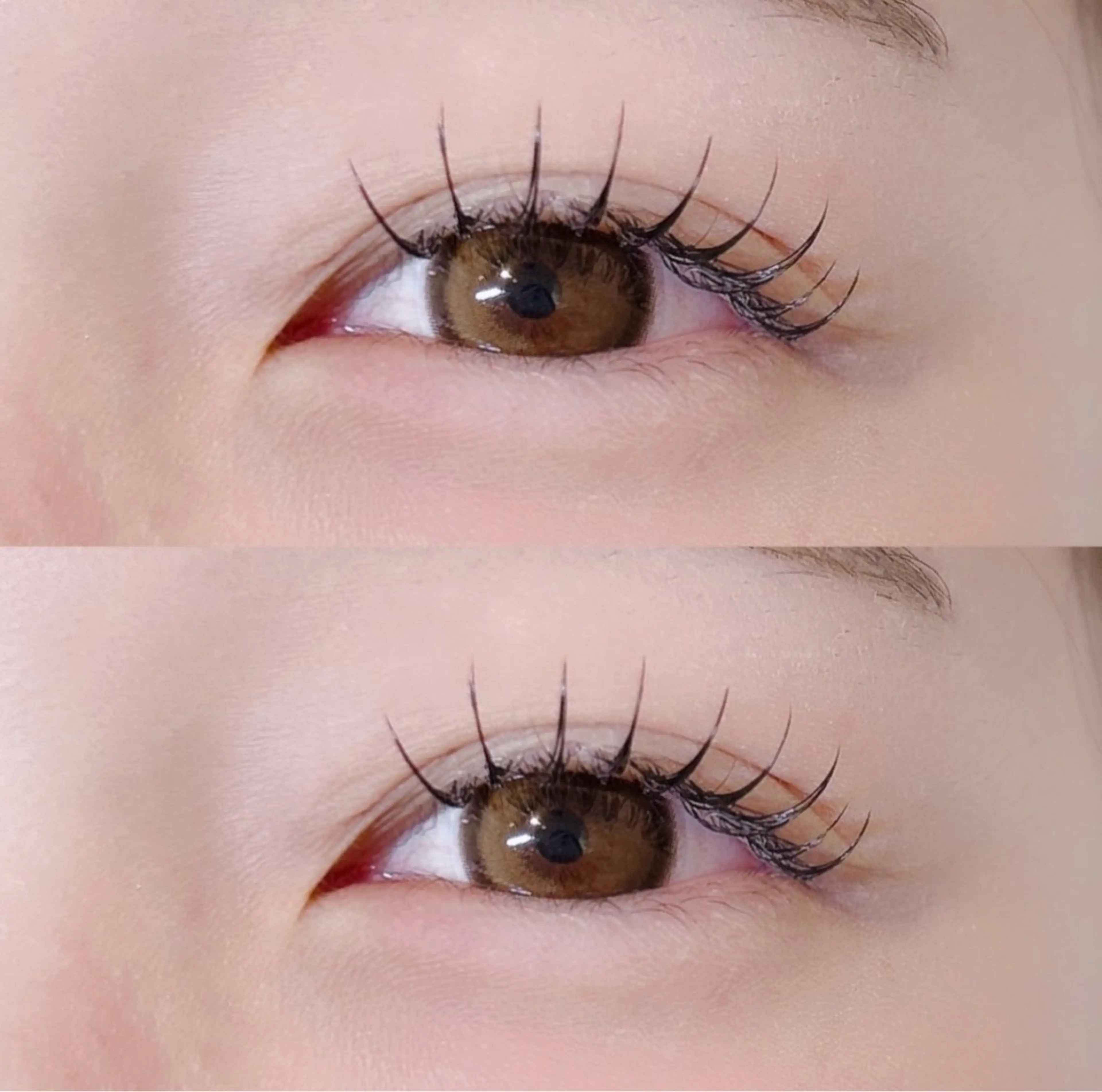 マツエク120本《コーティング束間仕上げ》🌻✨の写真