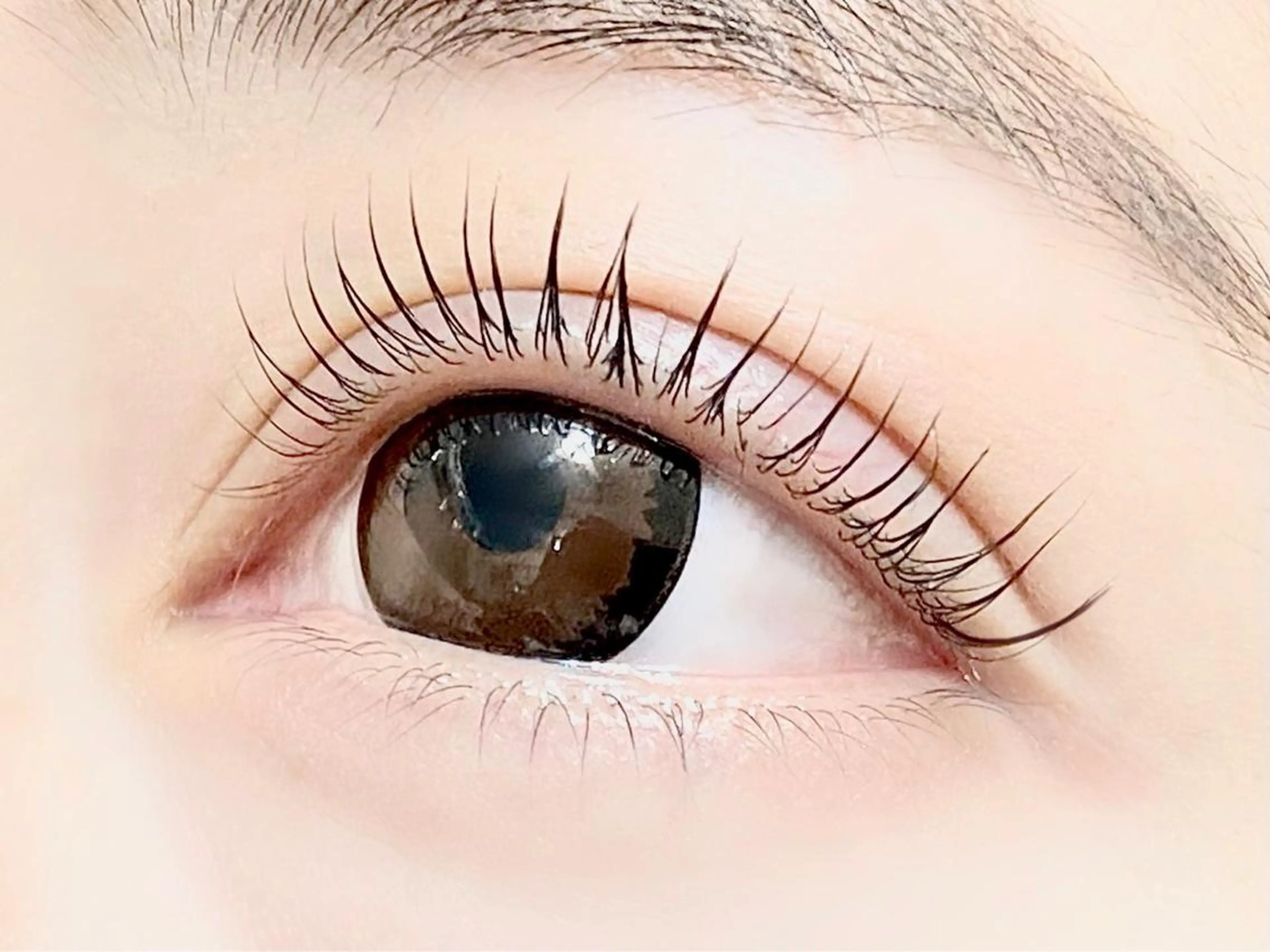 12月限定🫧潤いまつげパーマ🕊🫧上のみ🤍美容液コーティング付き💐下まつげ＋1300円の写真