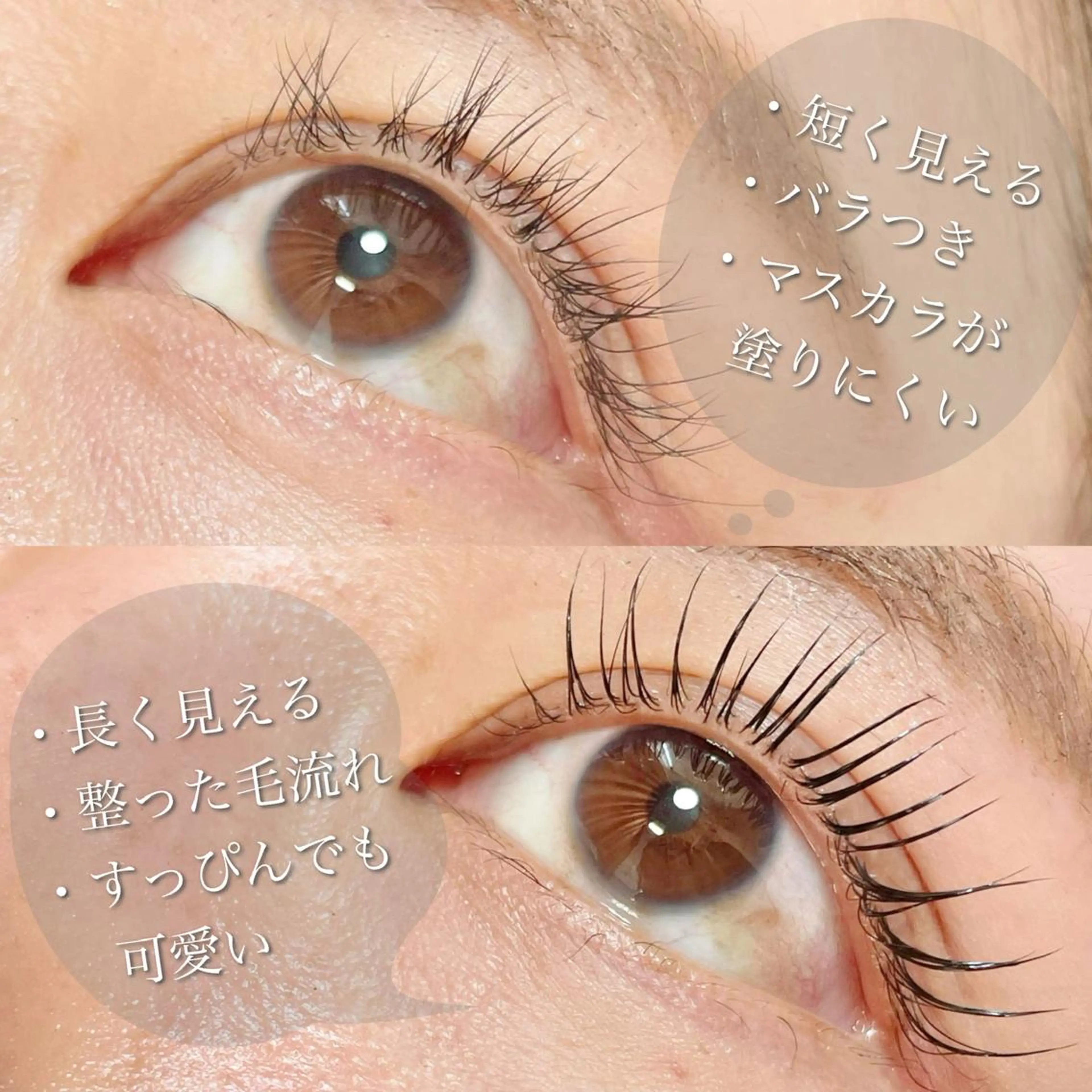 マツエク・マツパ eight eyelash池袋店のマツエク・マツパデザイン