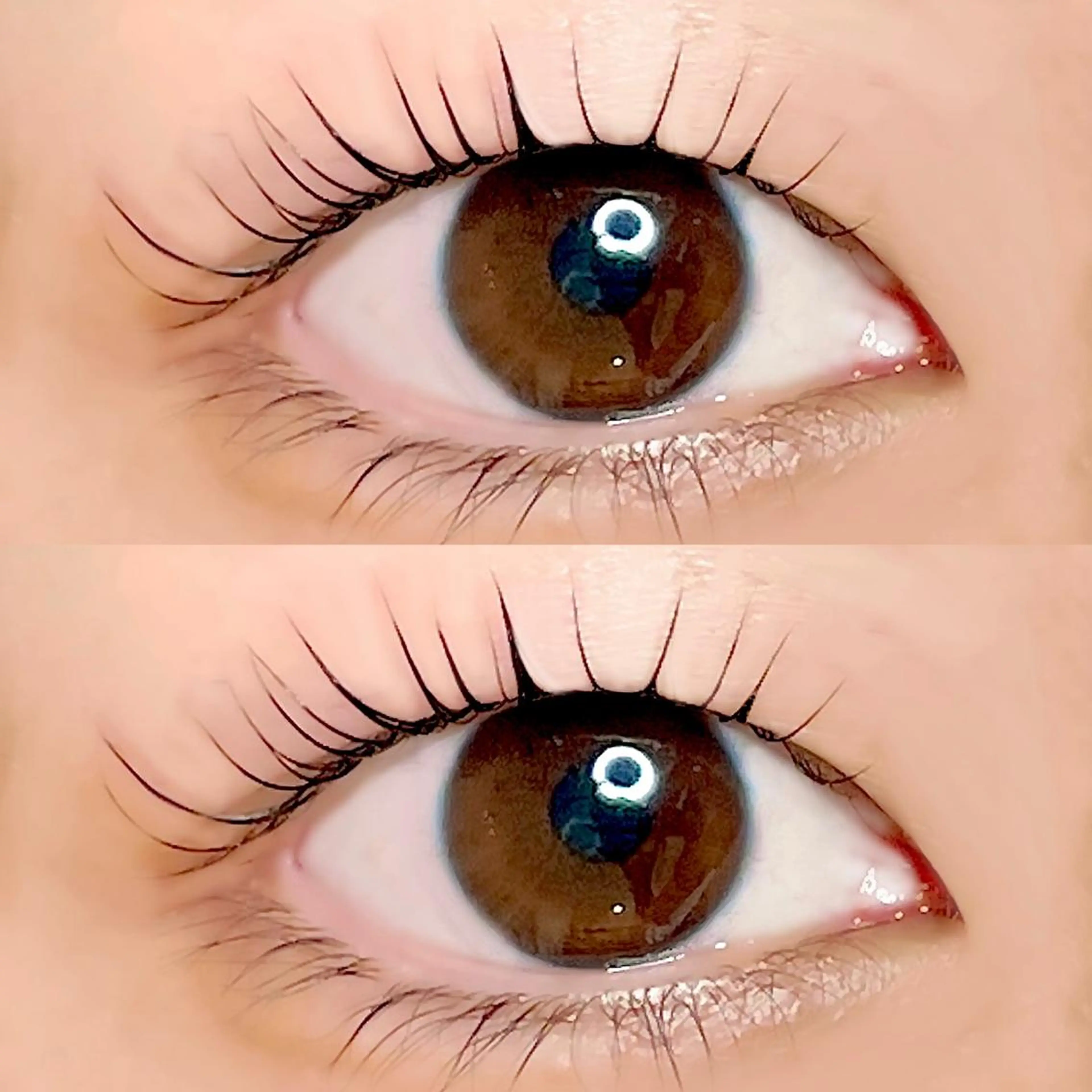 マツエク・マツパ AYLASH🧡 猪又のマツエク・マツパデザイン