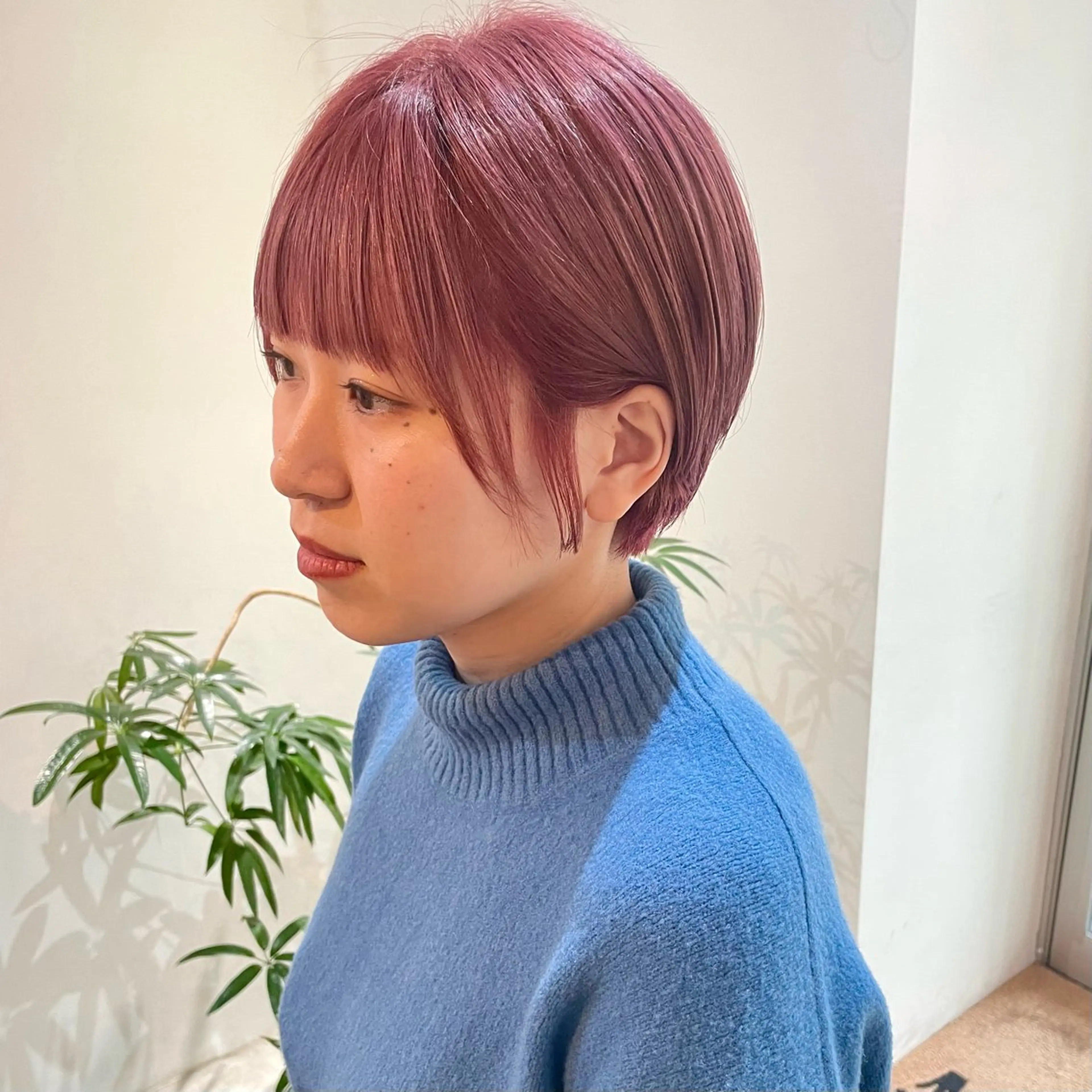 【メンズ・レディースどなたでも可🎟】カット🪡の写真