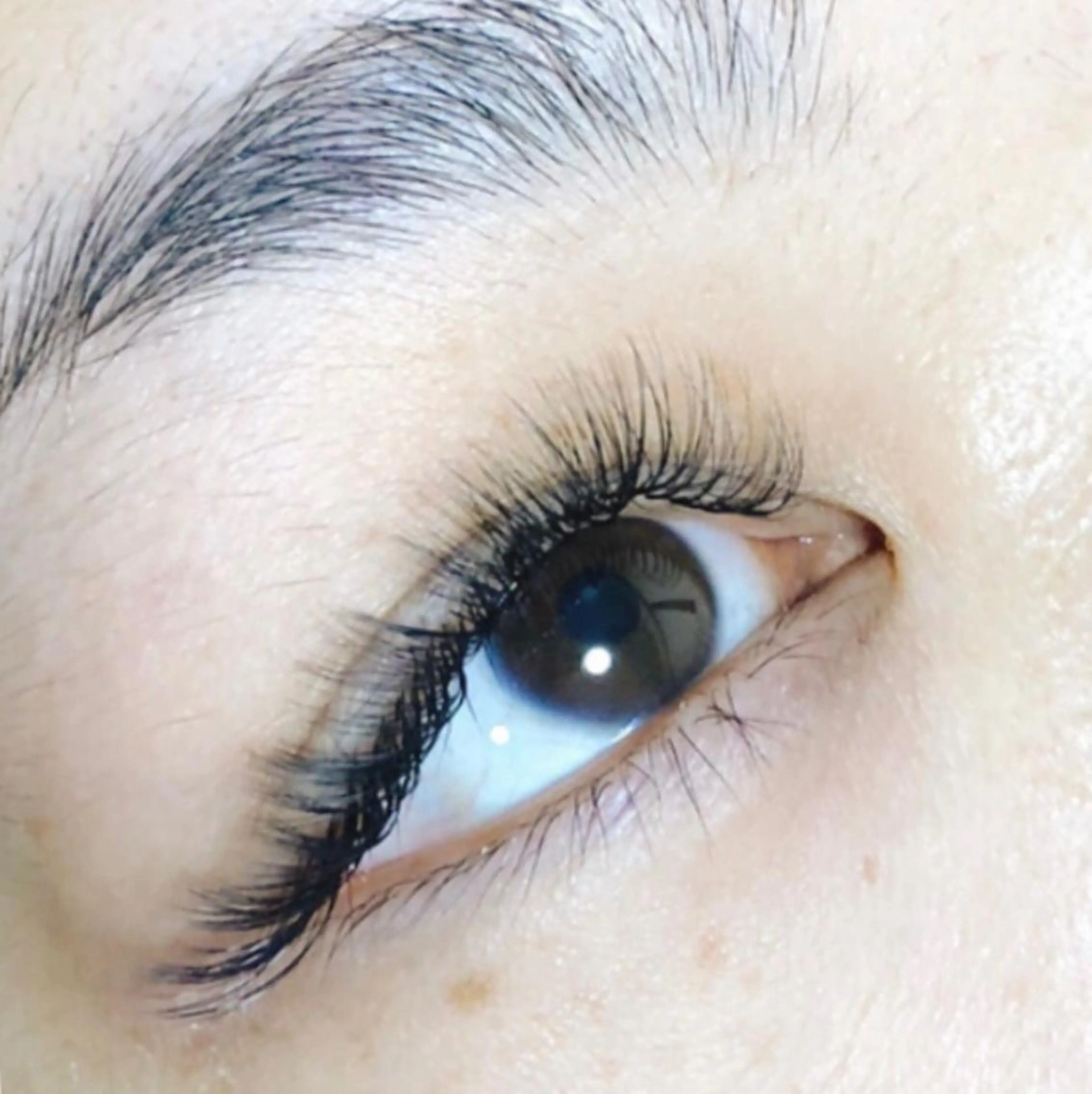 マツエク・マツパ ボリュームラッシュ ARONA (アローナ)の眉毛・アイブロウイメージ