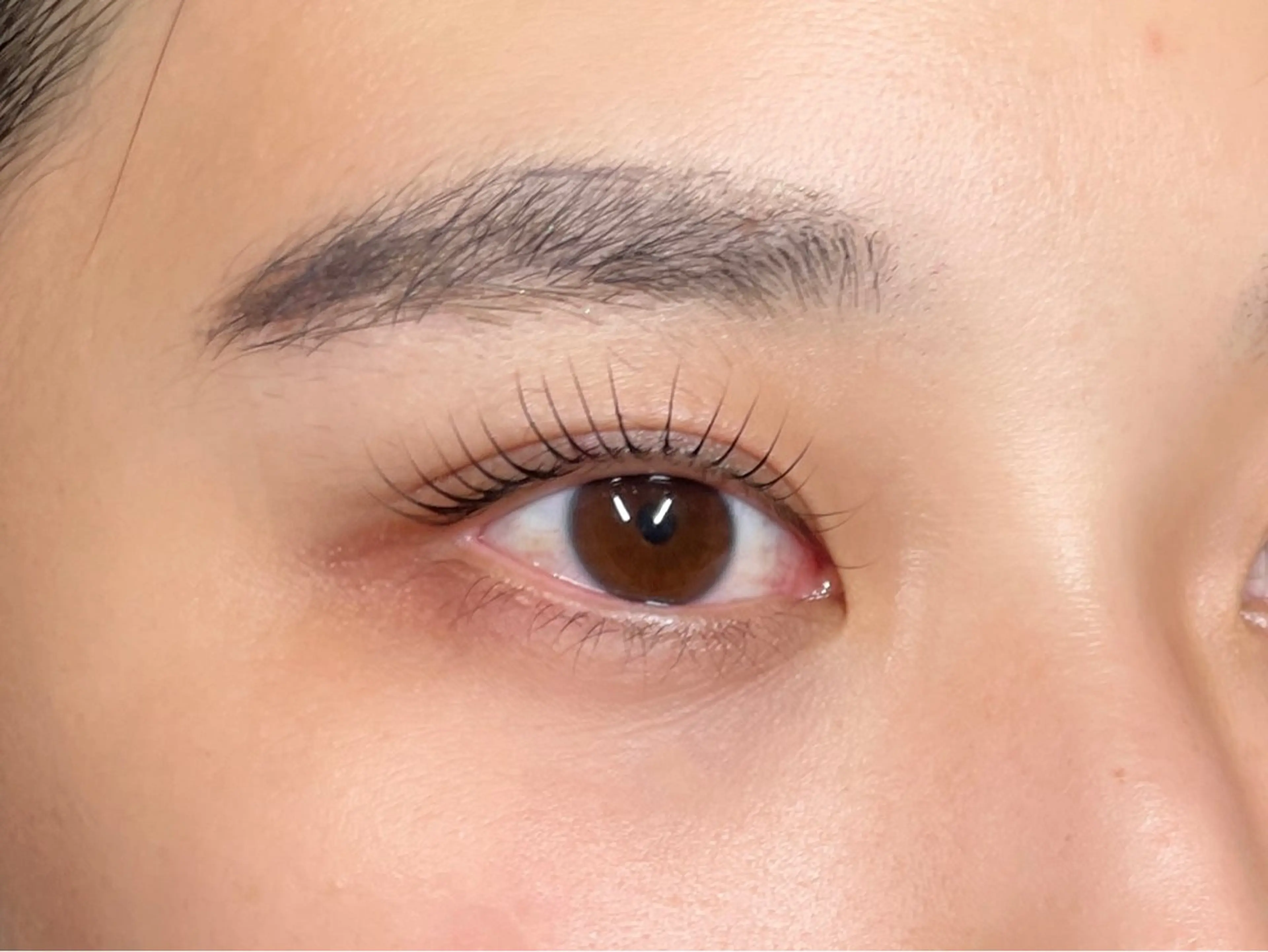 minimo限定クーポン☆ケラチンラッシュリフト／上のみ／立ち上げorカール　¥4840の写真