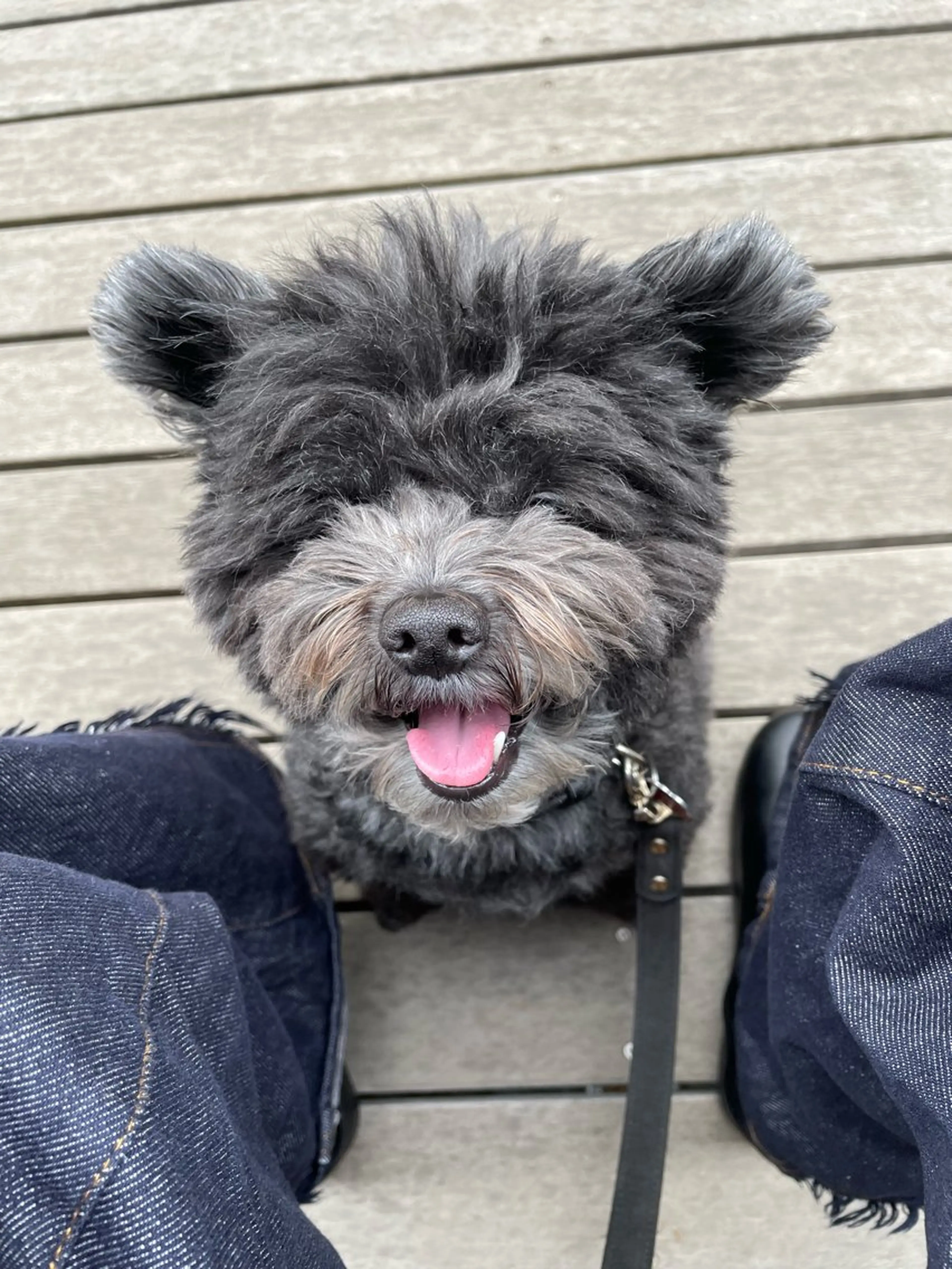 ネイル Kobayashi Meikoのネイルデザイン