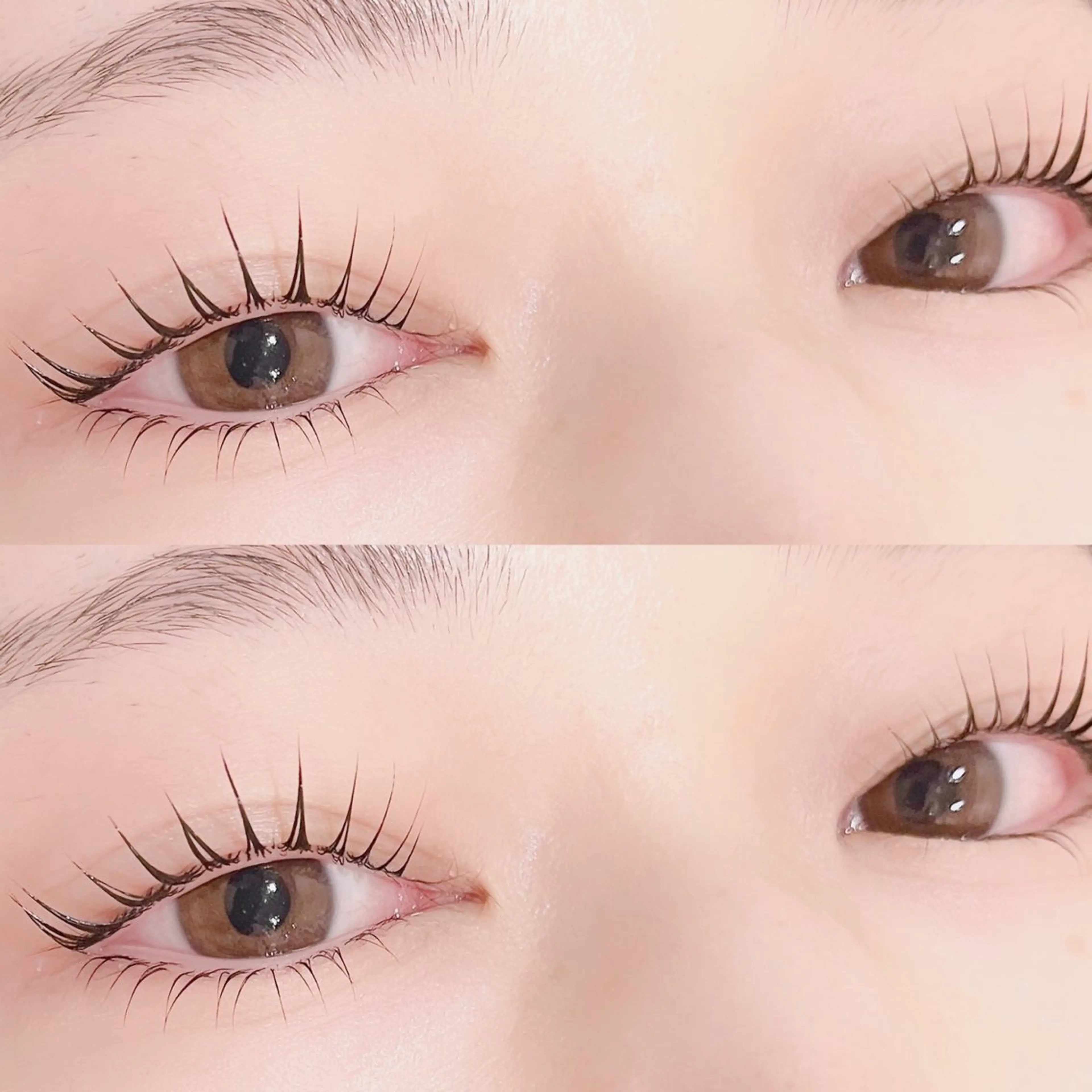 🌸パリジェンヌ上下🌸韓国風束感コーティング付き🫧の写真