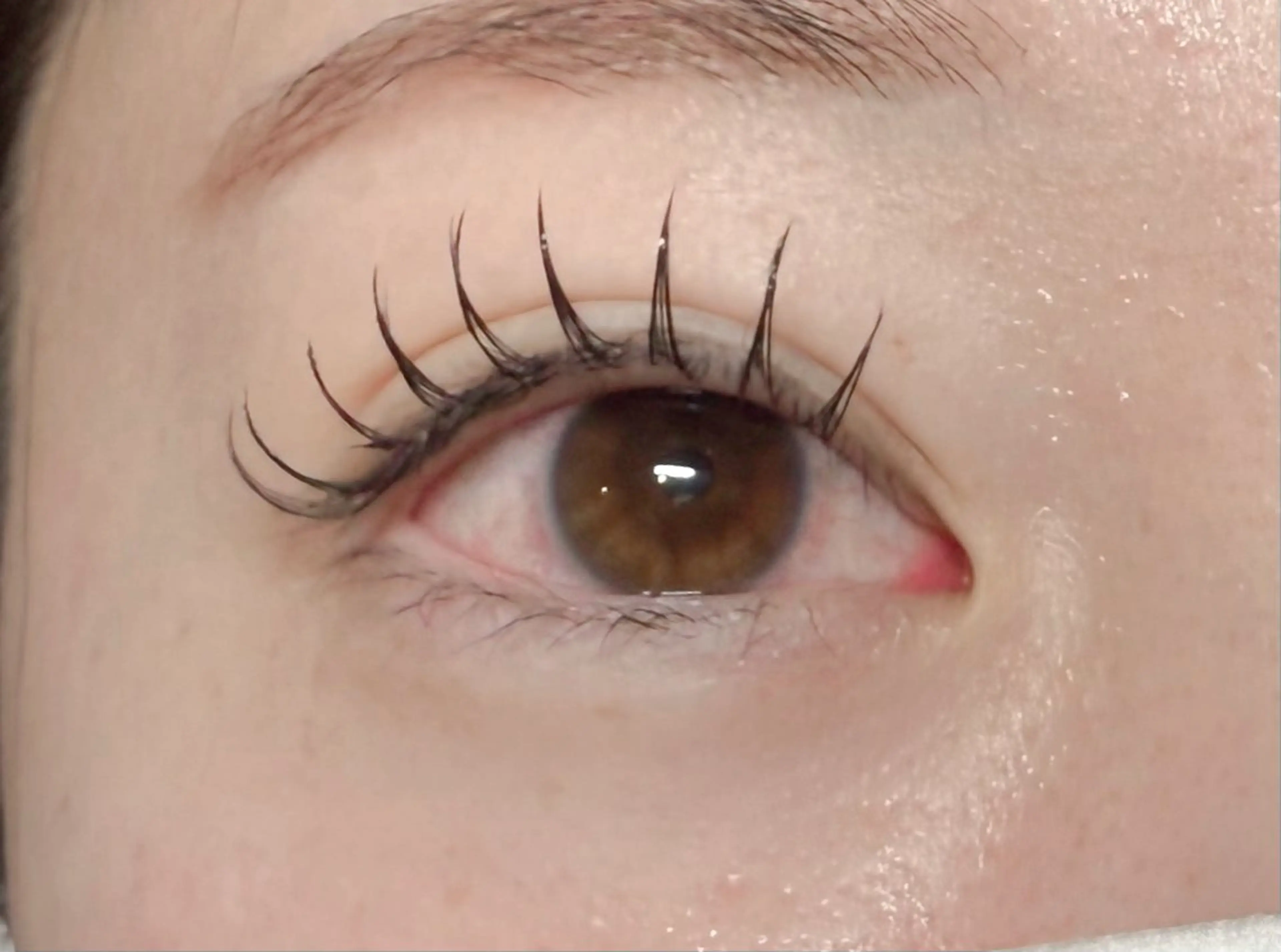 マツエク・マツパ Dカール Rimie所属・Rimie👀 Watanabeのマツエク・マツパデザイン