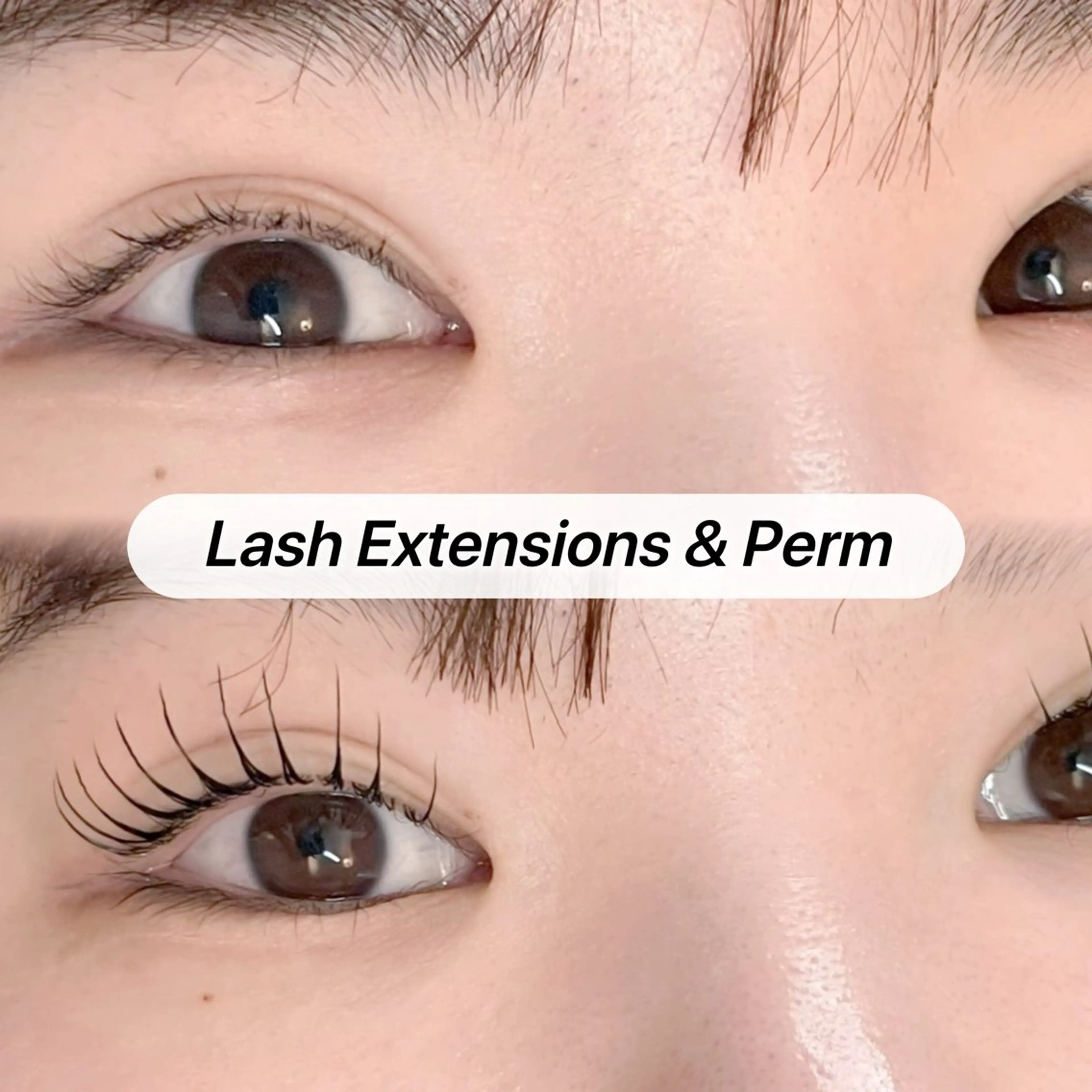 マツエク・マツパ muon天神店所属・🪽Blanche かわづ🪽のマツエク・マツパデザイン