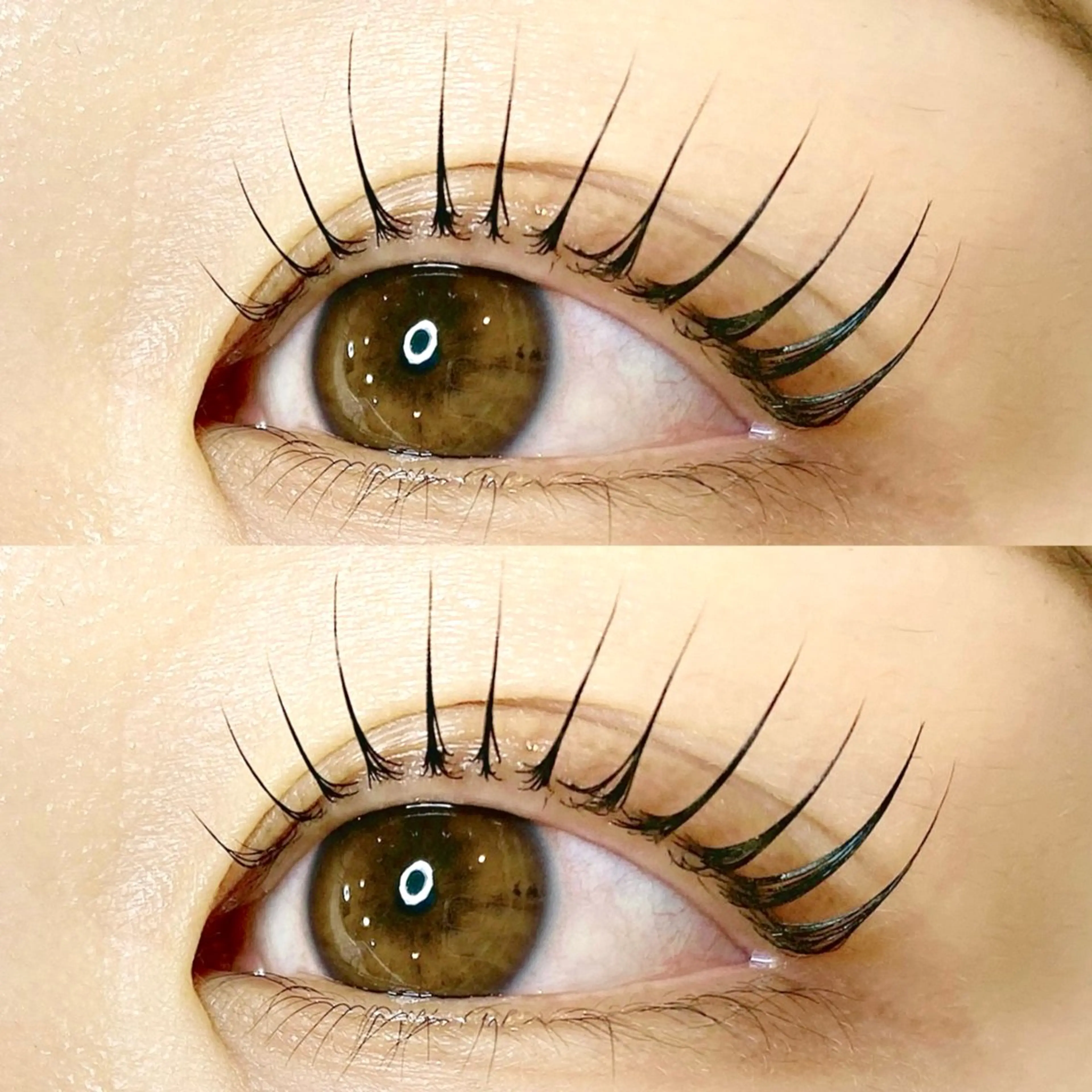 ご新規様    大人気🇰🇷【まつげパーマ➕ティント】の写真