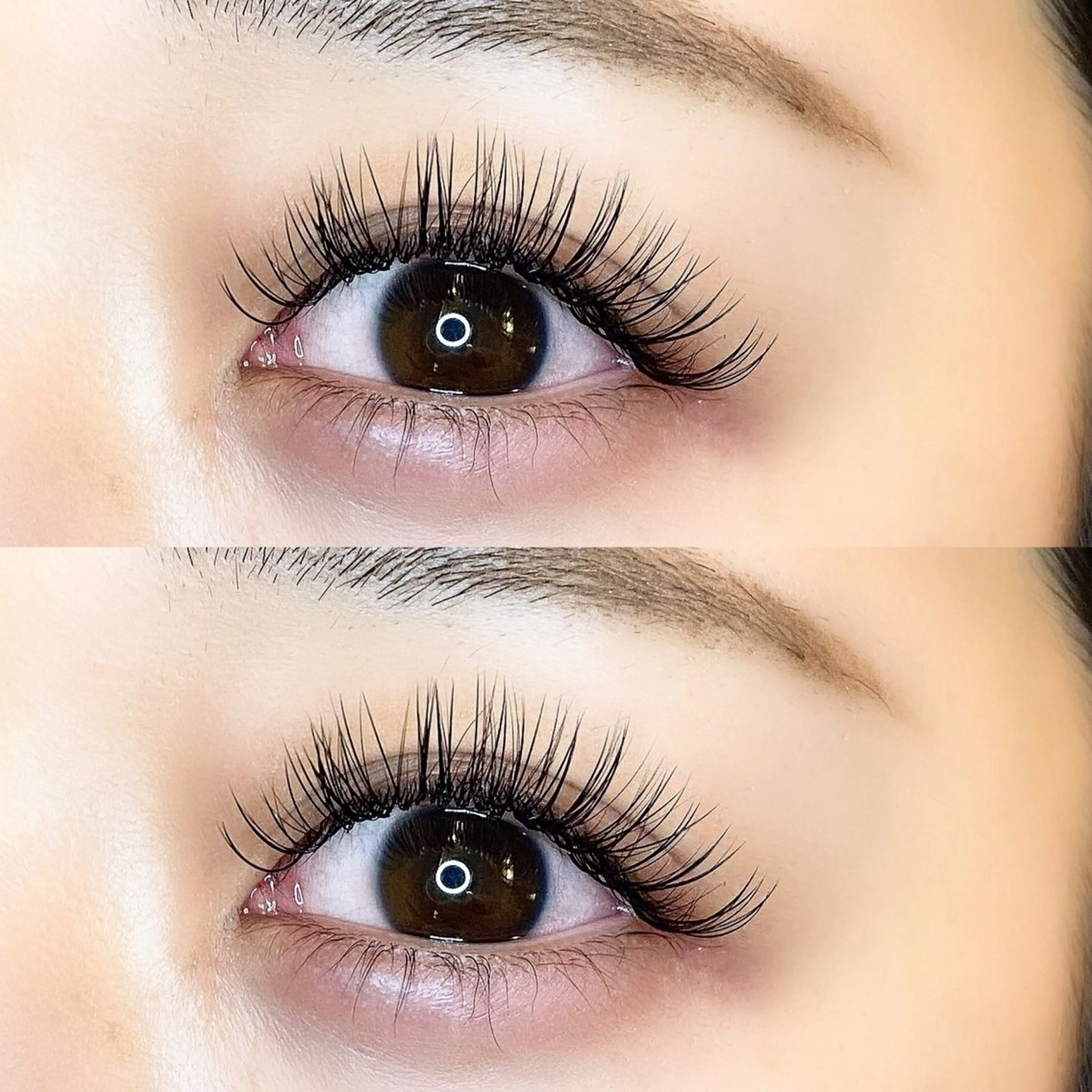 12月限定【バインドロック100束】ボリュームUP✨モチNo.1🩷の写真