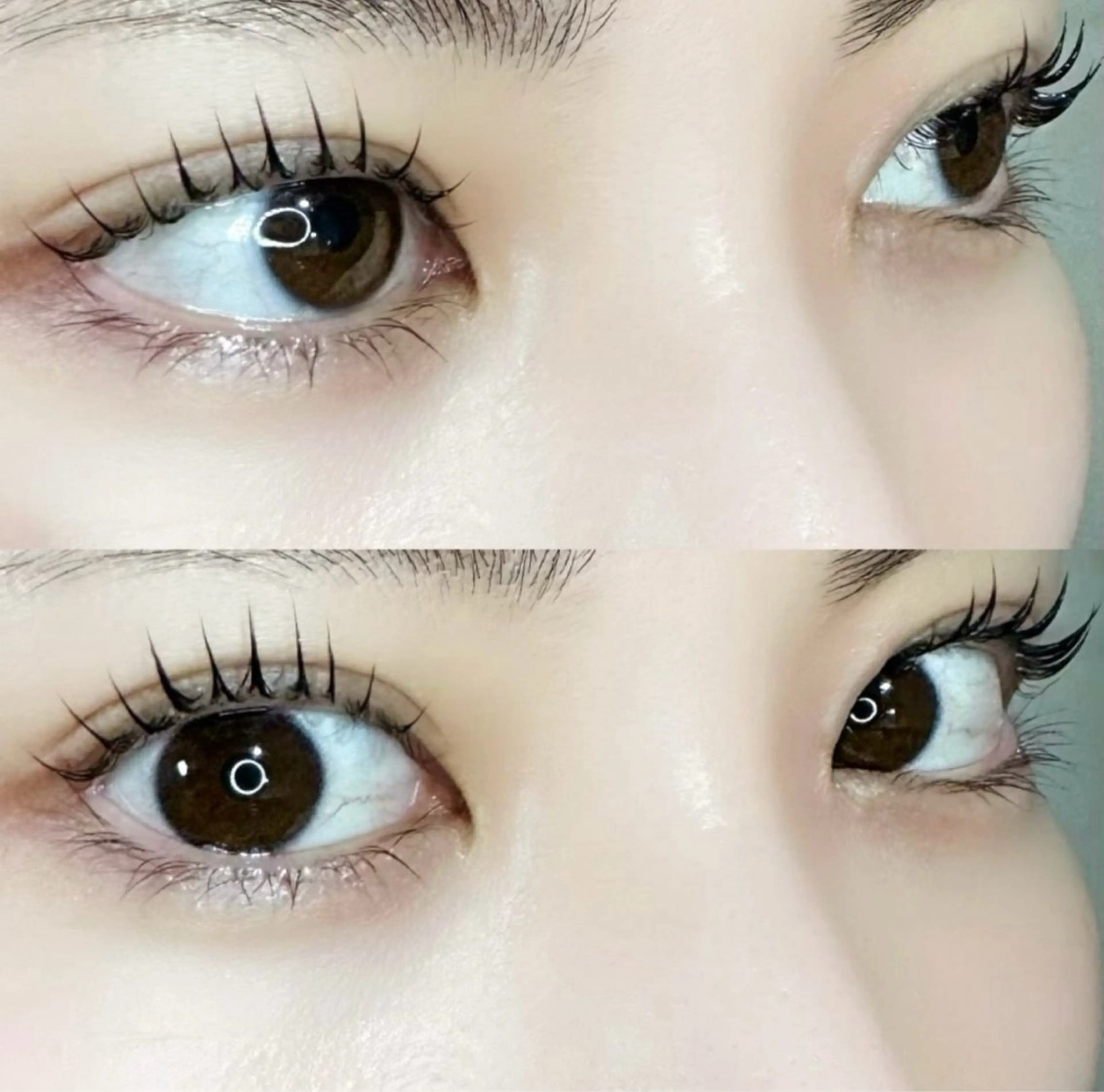 マツエク・マツパ 🦖fein. YUINA🦕⋆͛のマツエク・マツパデザイン