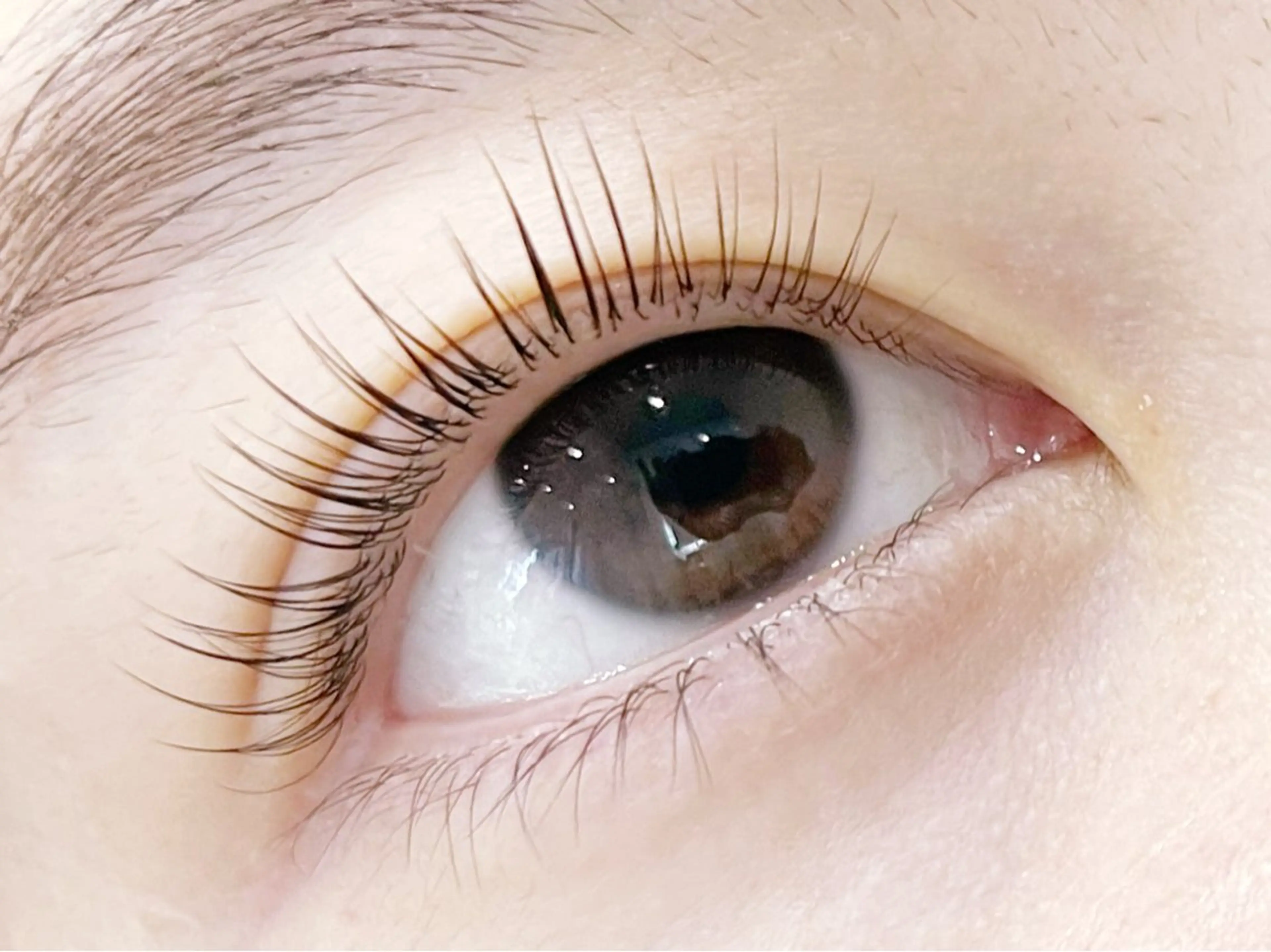 パーマ マツパ Grace タケシタのマツエク・マツパデザイン