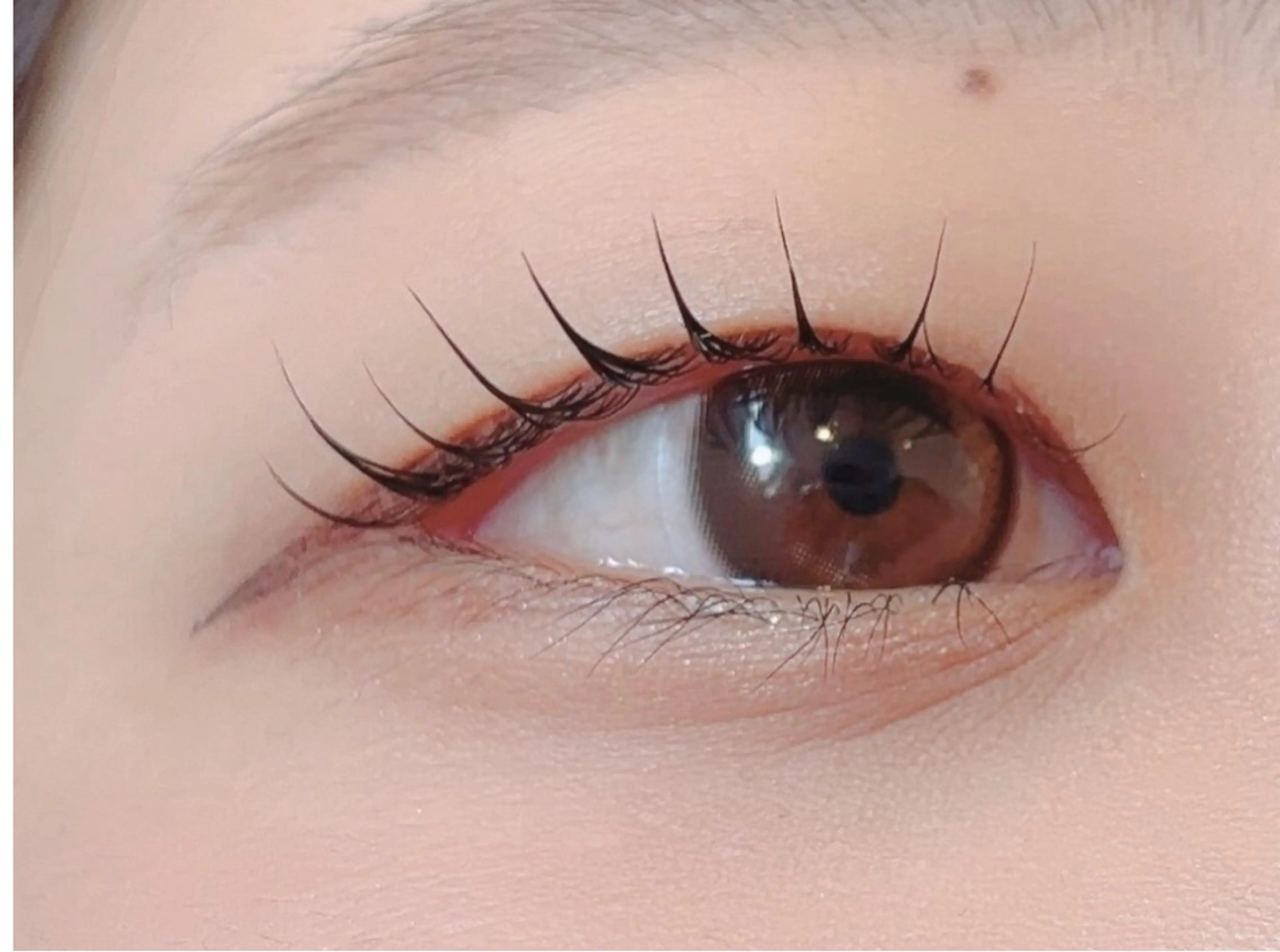 特別特価🌺12月限定🌈一番人気🦋韓国風束感まつ毛パーマ8200円→4000円の写真