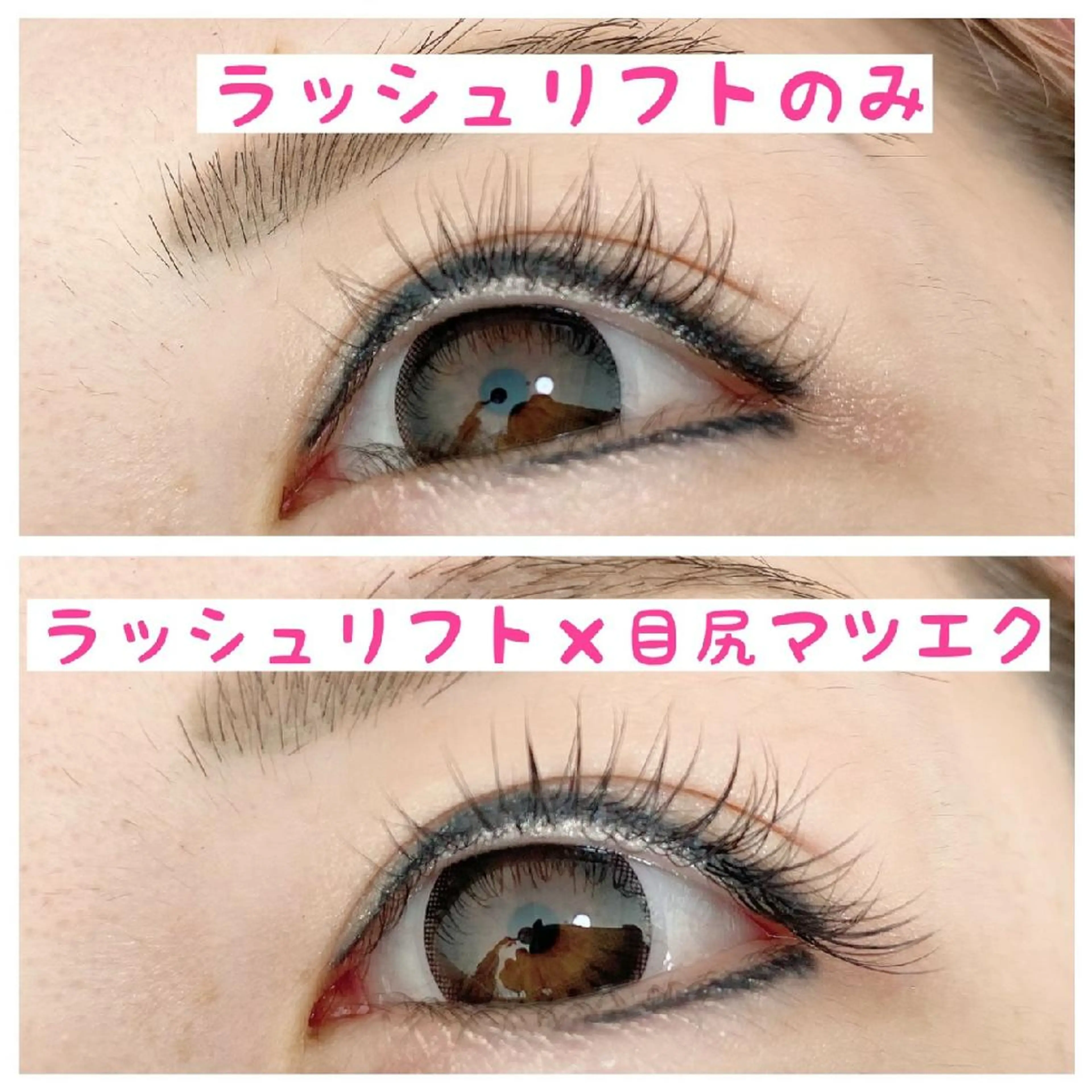 《 新規》ラッシュリフト上＆エクステ40本の写真