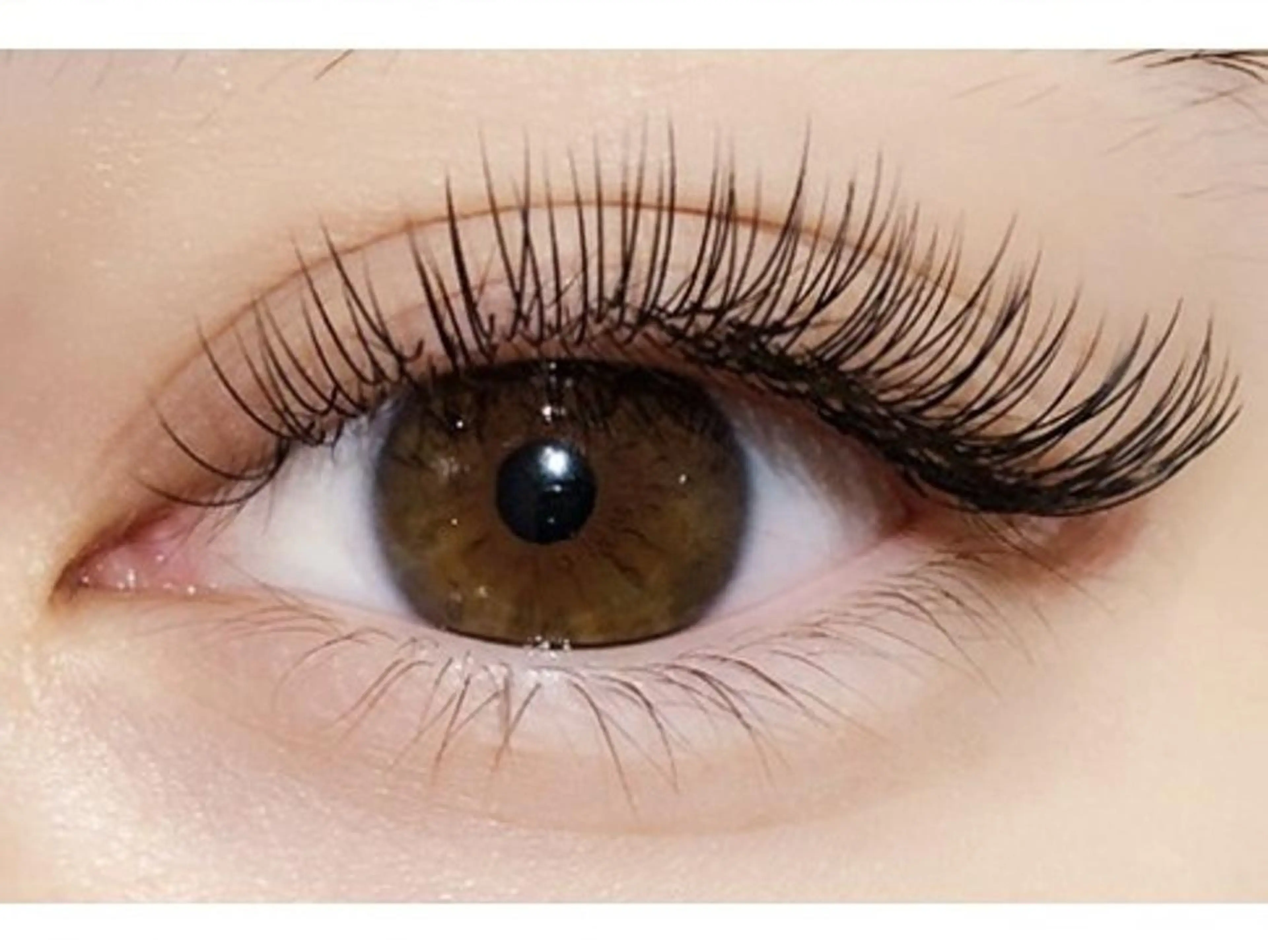 【限定モデル】最高級フラットラッシュ【つけ放題】★オフ込★コーティング付♪の写真